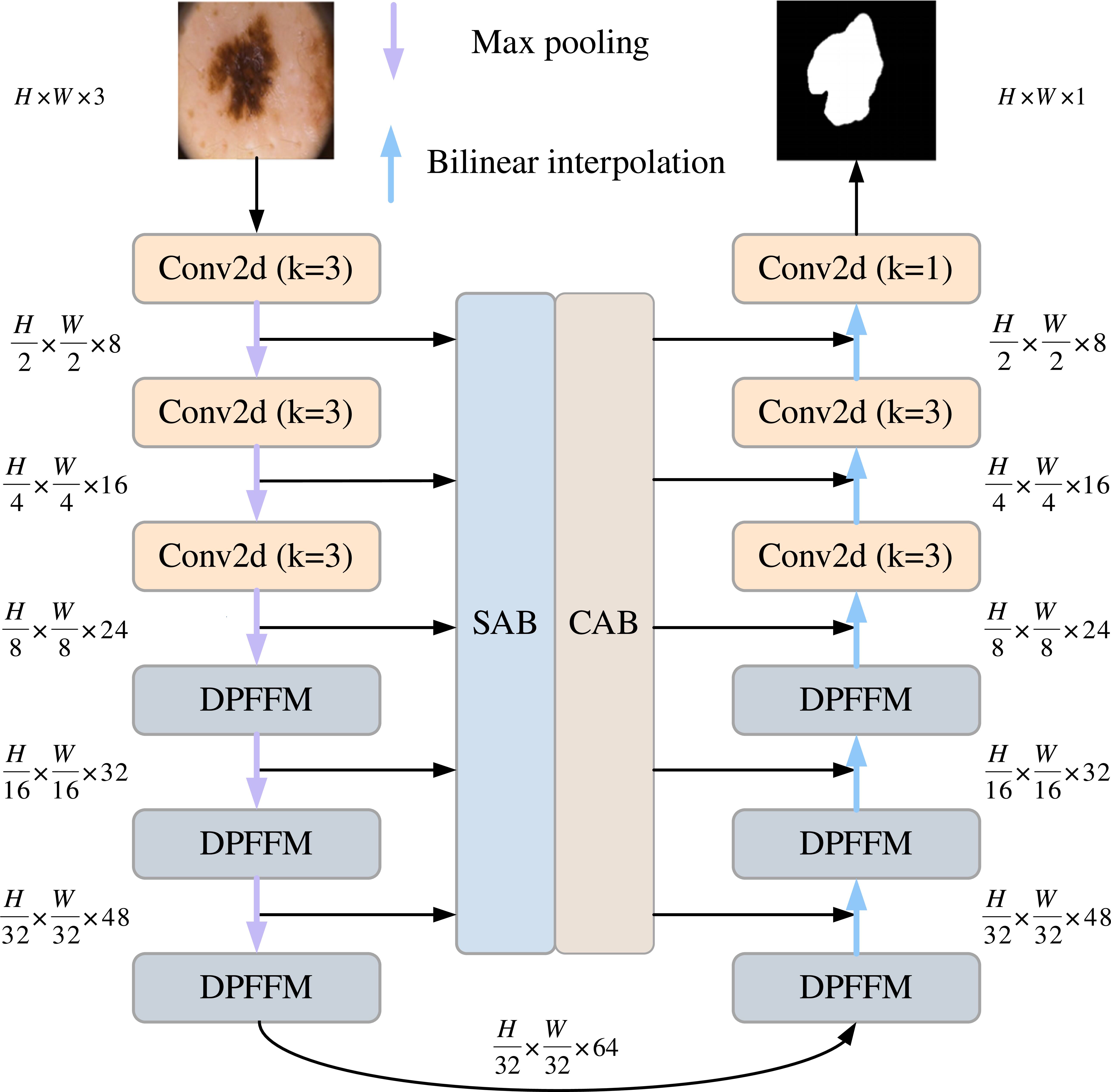DPFF-net: dual-path feature fusion network with vision Mamba for skin ...