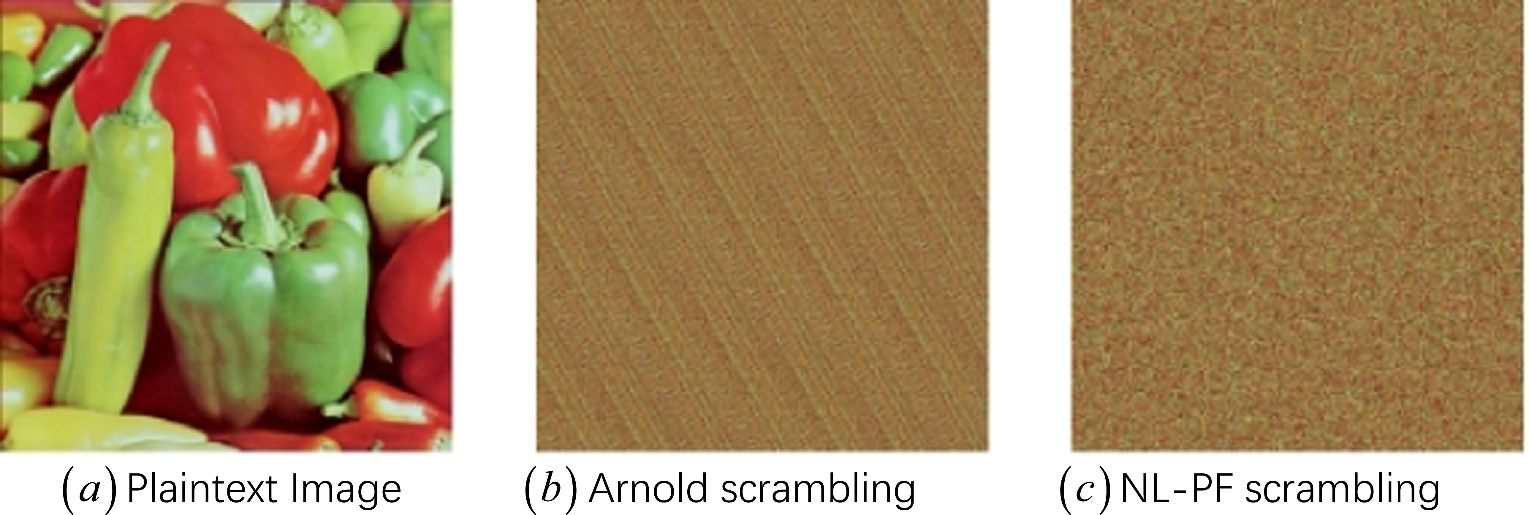 A study on color image encryption based on a new nonlinear dynamical ...