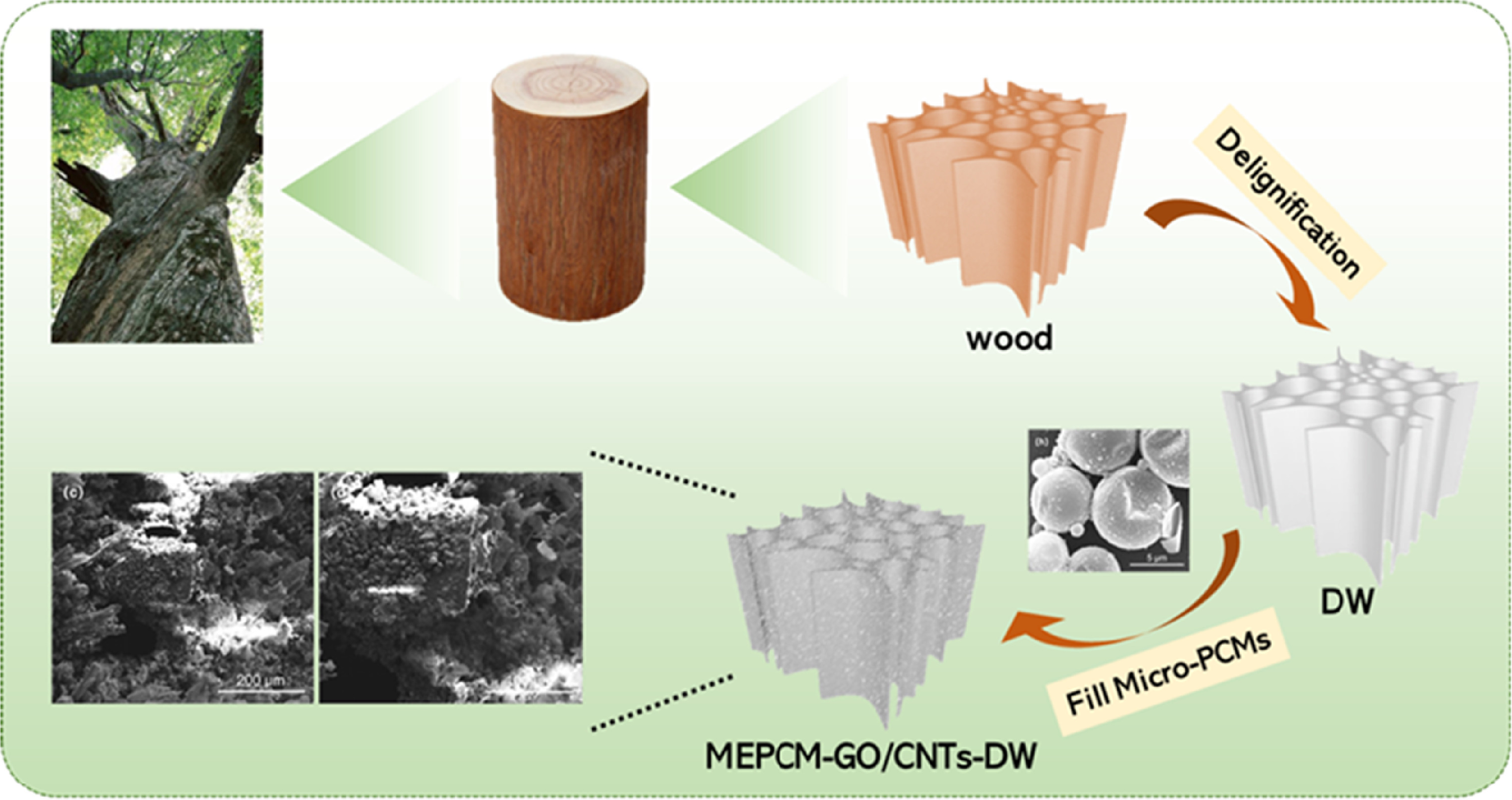 Graphene oxide and carbon nanotubes hybrid microcapsule wood-based ...
