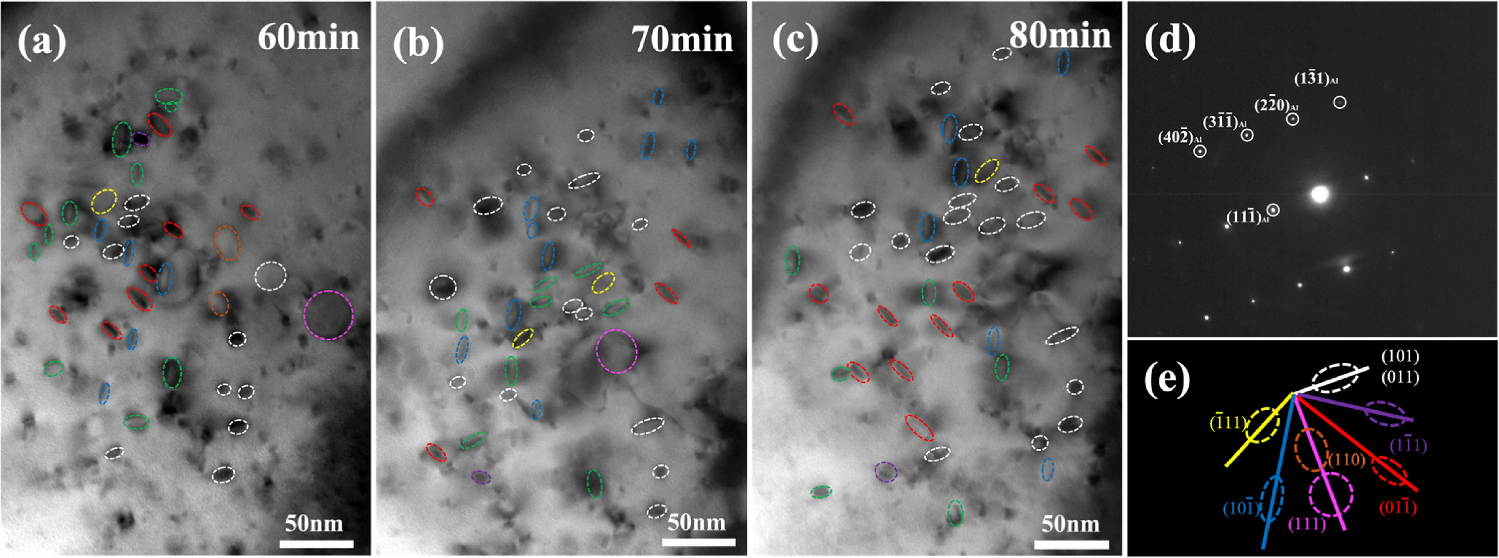 Selective evolution of 〈111〉 and 〈110〉 and dislocation loops in pure ...