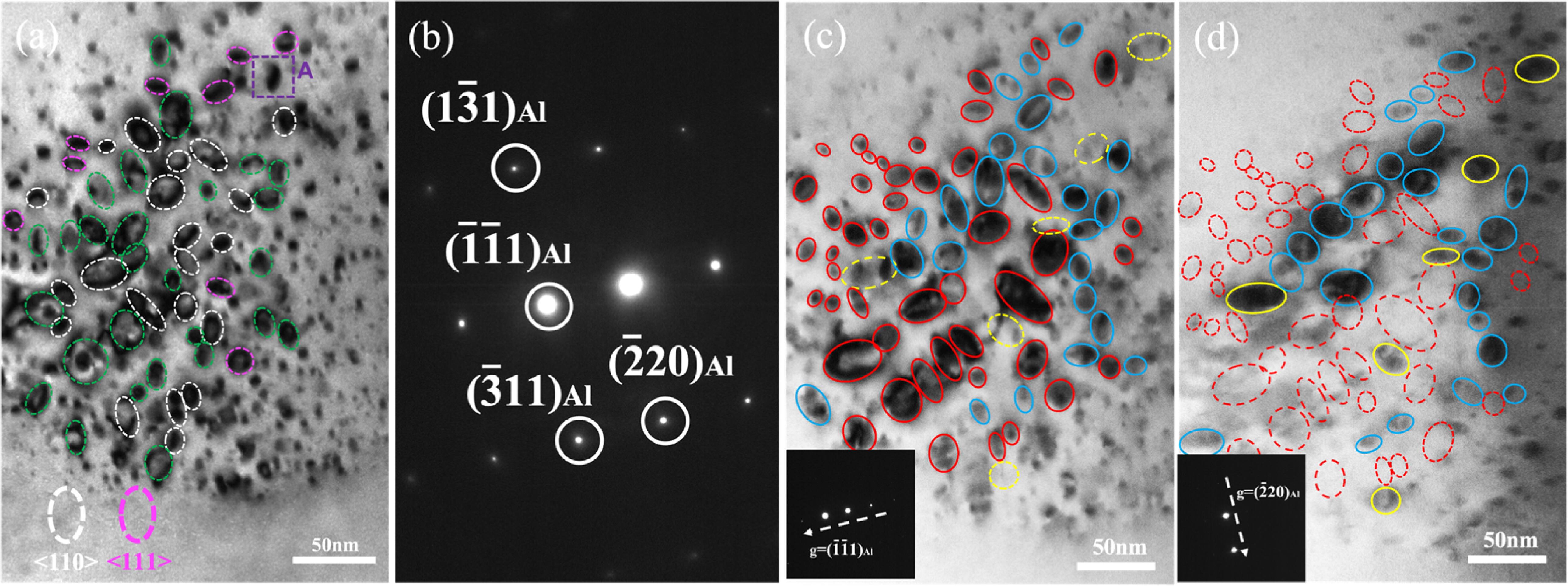 Selective evolution of 〈111〉 and 〈110〉 and dislocation loops in pure ...