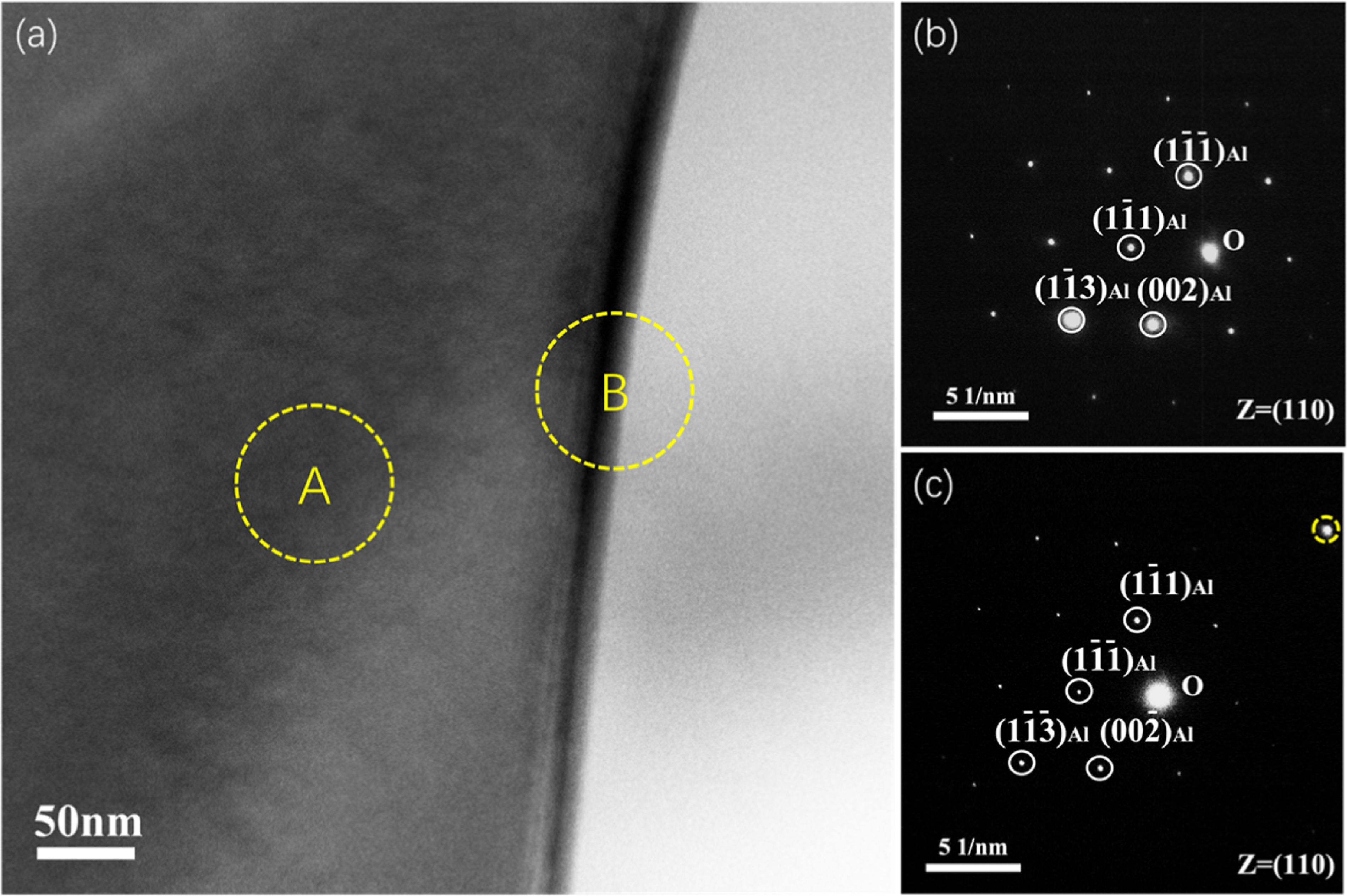 Selective evolution of 〈111〉 and 〈110〉 and dislocation loops in pure ...