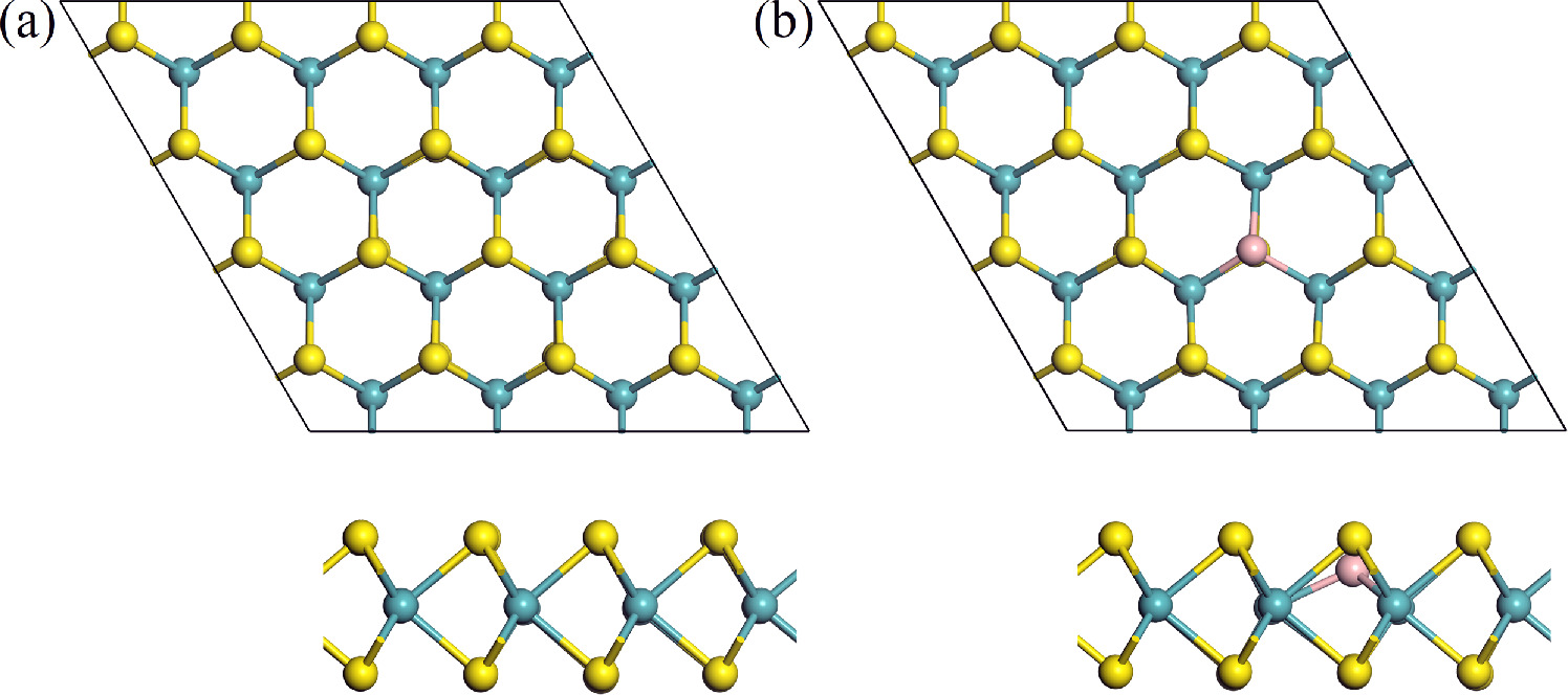 Adsorption behavior of gas molecules on B doped monolayer MoS2 - IOPscience