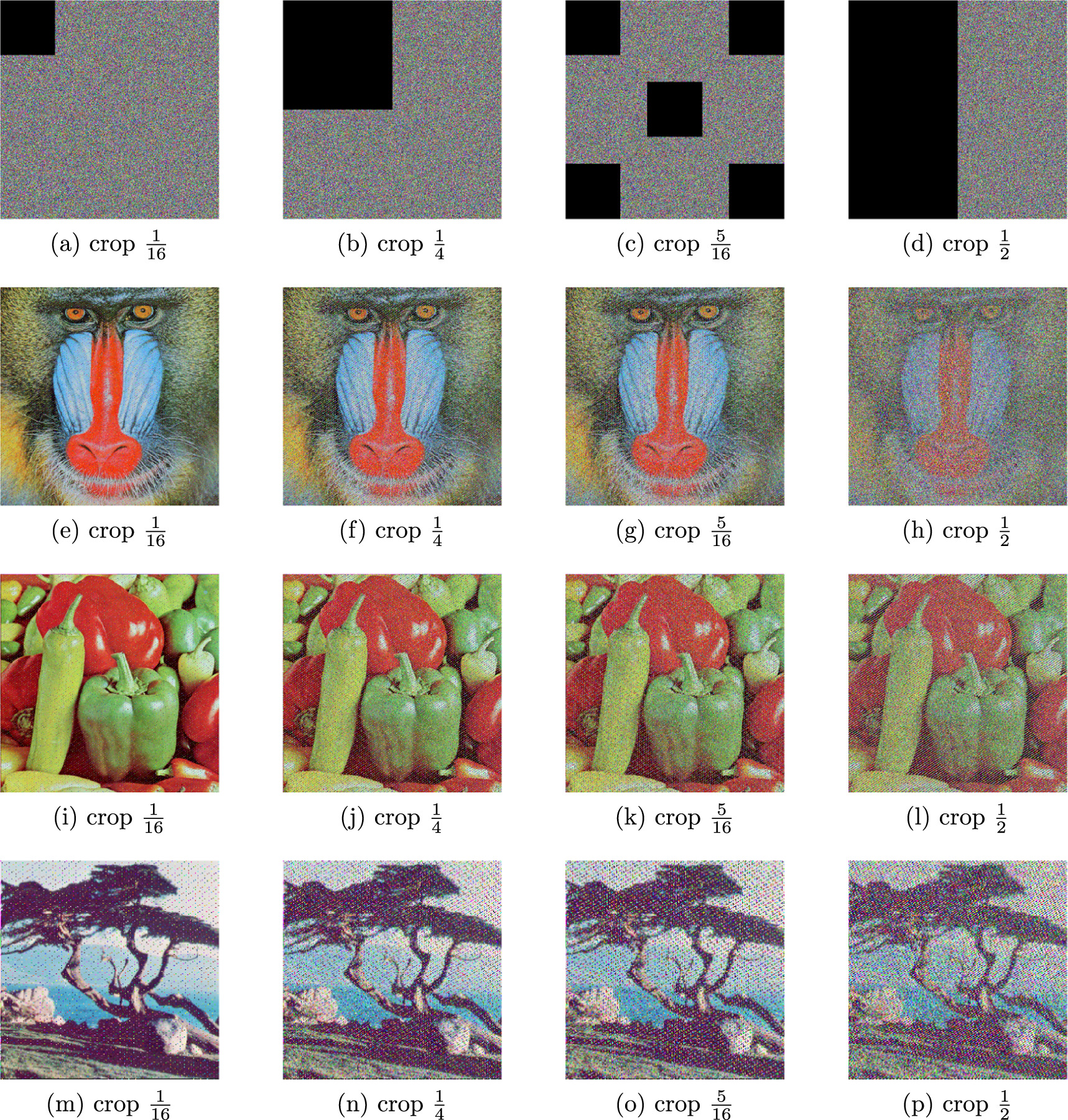 A new color image encryption scheme based on DNA sequence operations ...