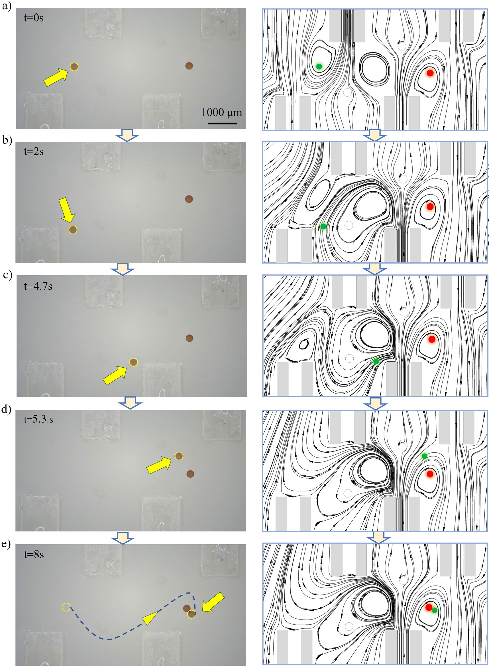 A swirl-based microfluidic chip for microparticle capture and assembly ...