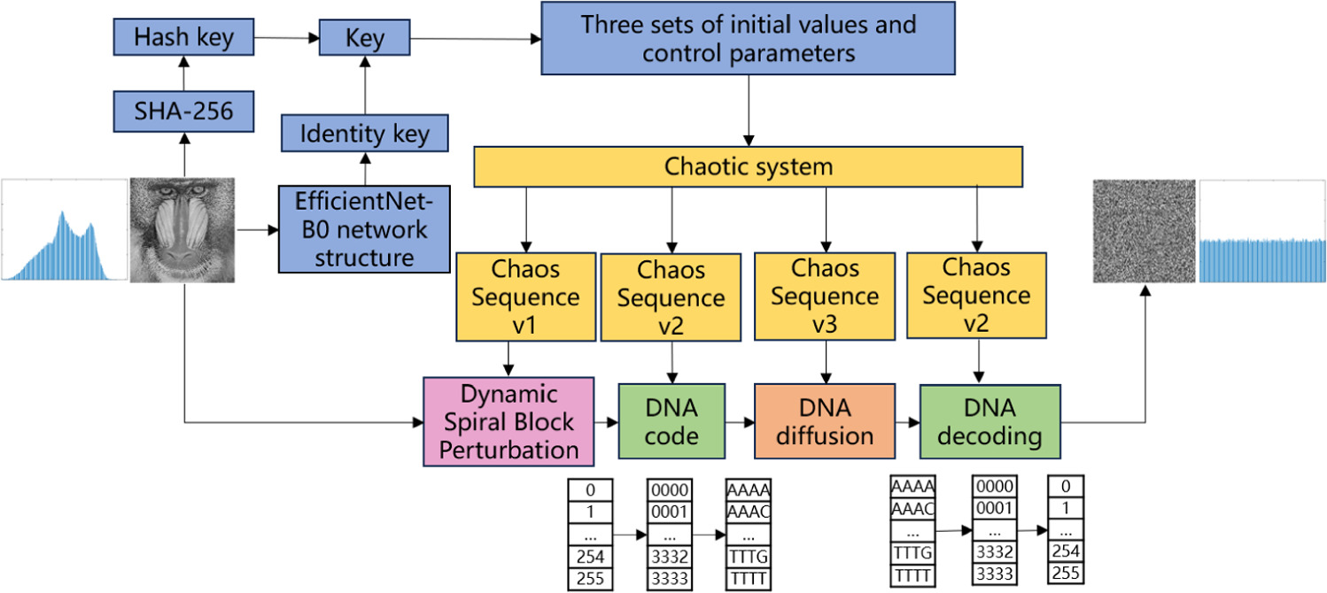 Image encryption based on four-dimensional multi-parameter robust ...