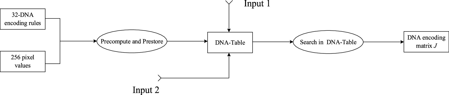 Image encryption algorithm based on a l dimensional chaotic map and ...
