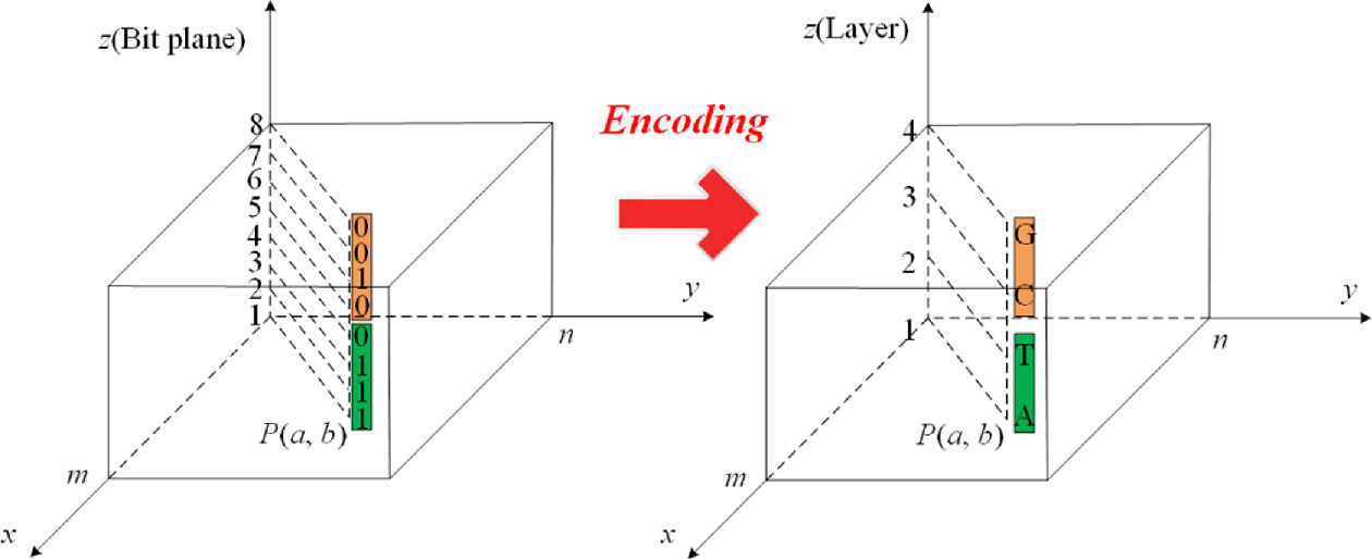 encryption two-dimensional code algorithm process |... Image encryption algorithm based on a l dimensional chaotic map and ...
