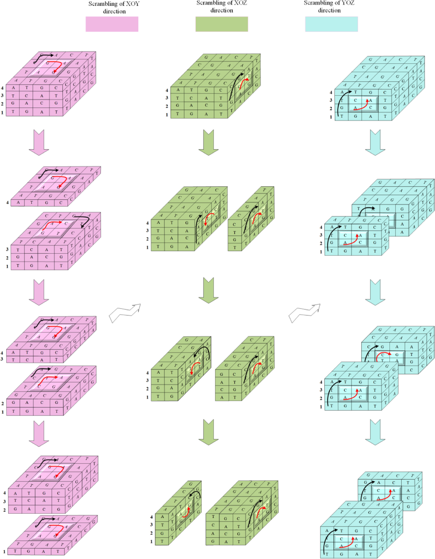 encryption two-dimensional code algorithm process |... Image encryption algorithm based on a l dimensional chaotic map and ...