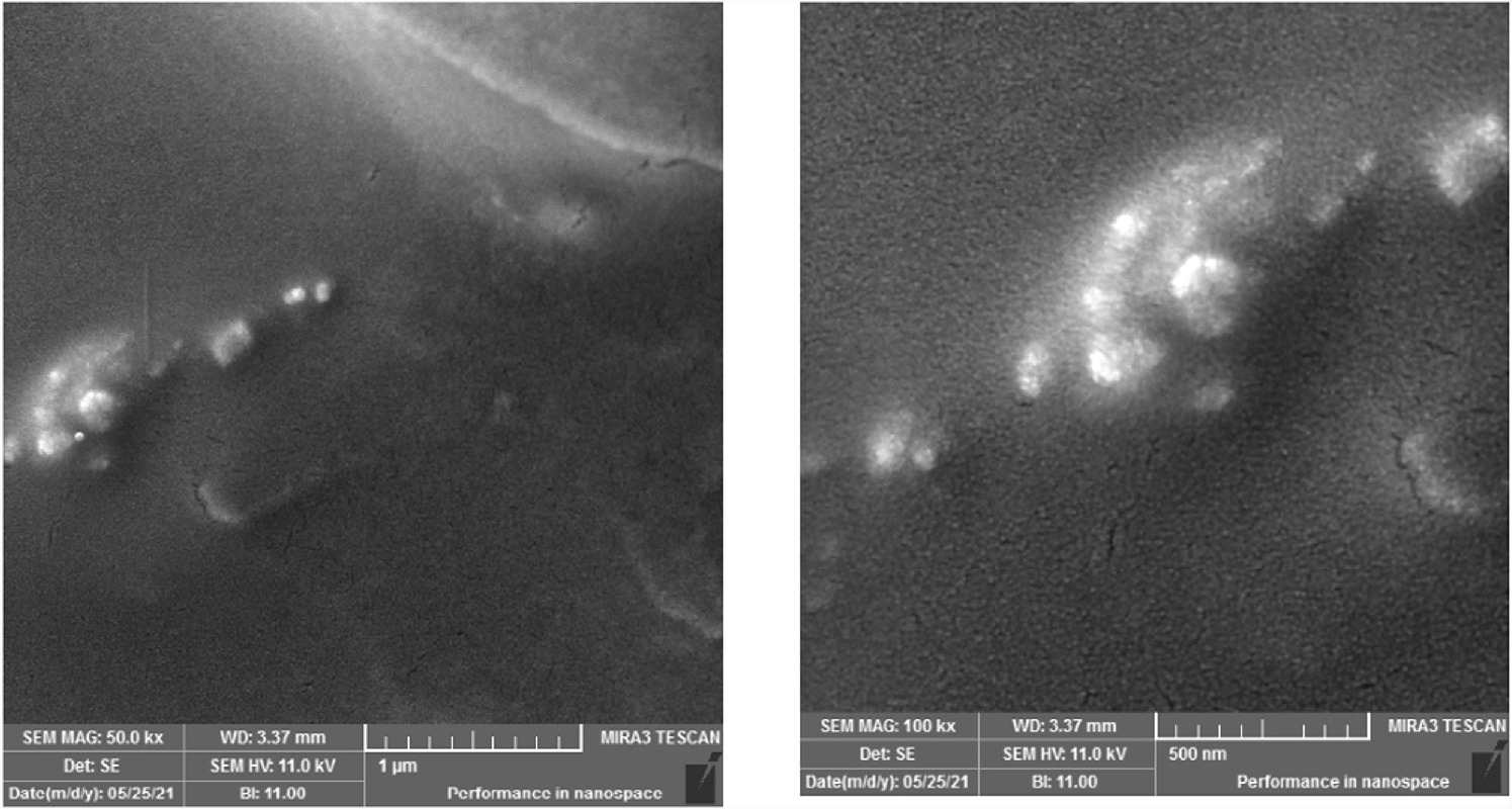 Tio2 Polymer Microscope Preparation and characterization of polymer blends reinforced with nano ...