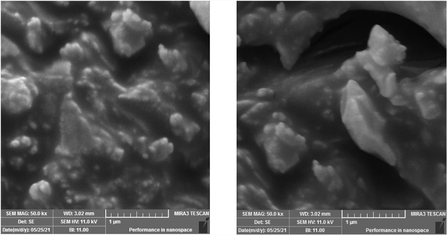 Tio2 Polymer Microscope Preparation and characterization of polymer blends reinforced with nano ...