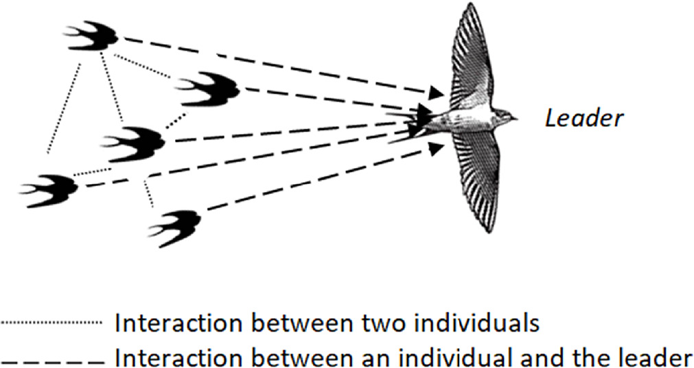 Simulation and analysis of collective self-propelled movement in the ...