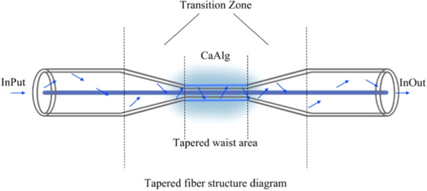 High sensitivity fiber optic flexible sensor based on tapered optical ...