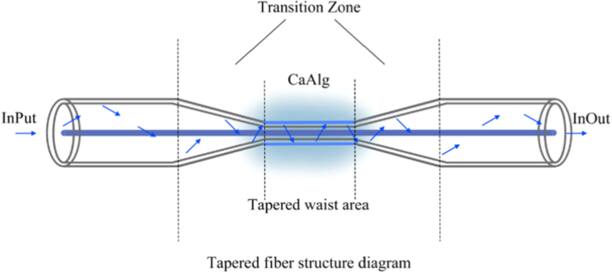 High sensitivity fiber optic flexible sensor based on tapered optical ...