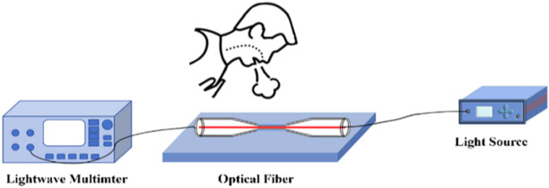 High sensitivity fiber optic flexible sensor based on tapered optical ...