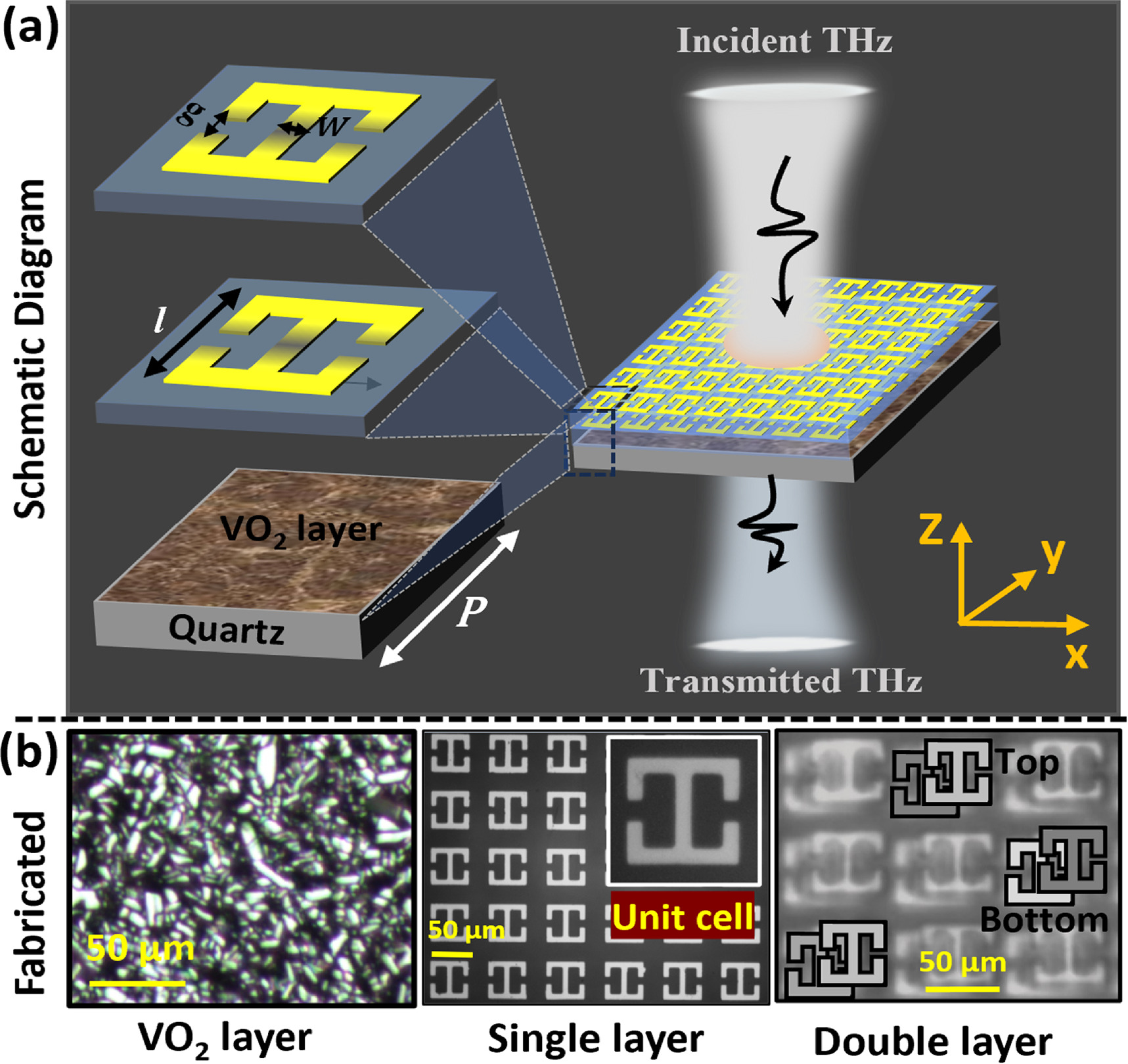 Tunable broadband terahertz modulation in a multi-stacked toroidal ...