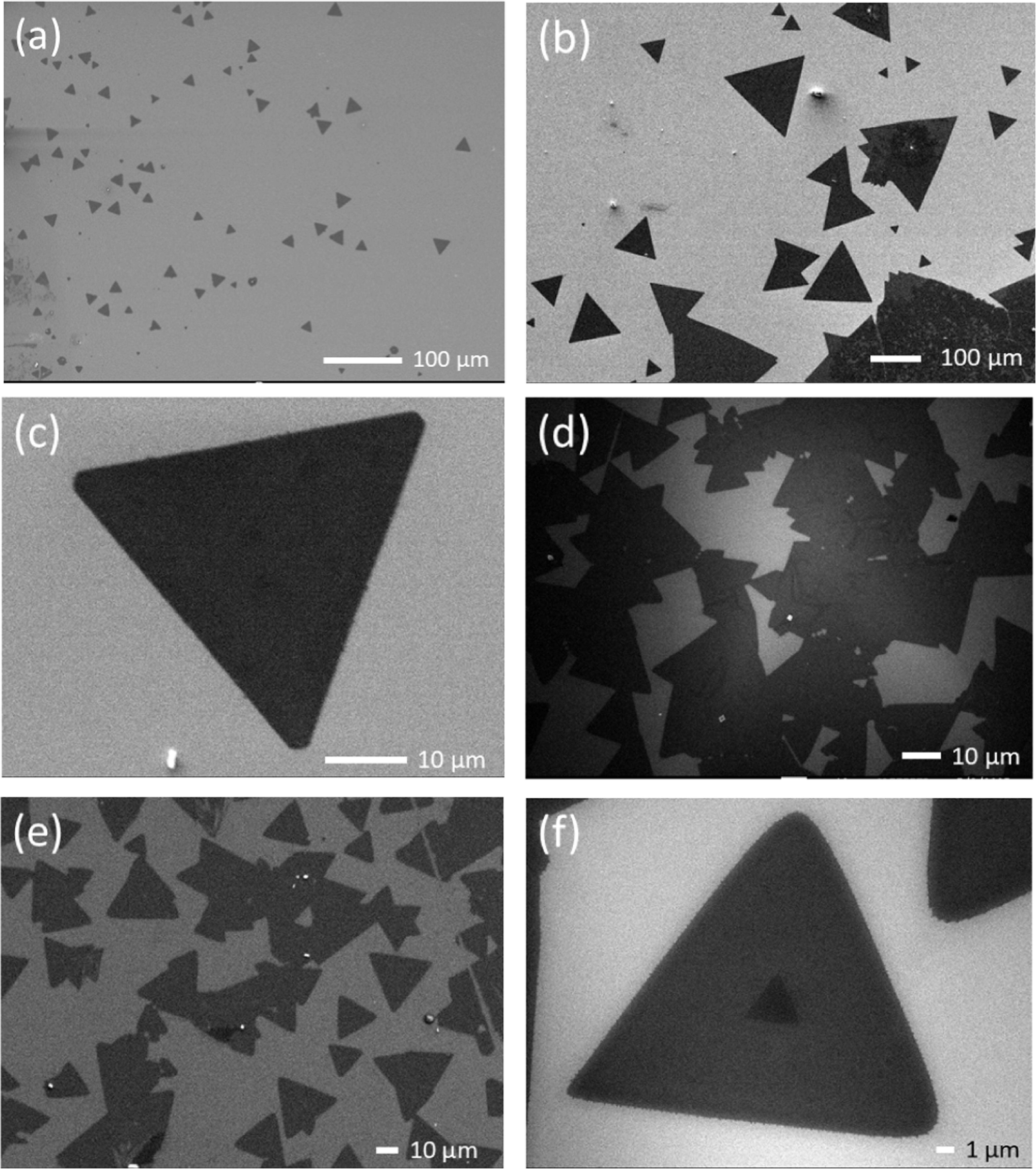 Role of precursor weight ratio on the growth and morphology of 2D MoS2 ...