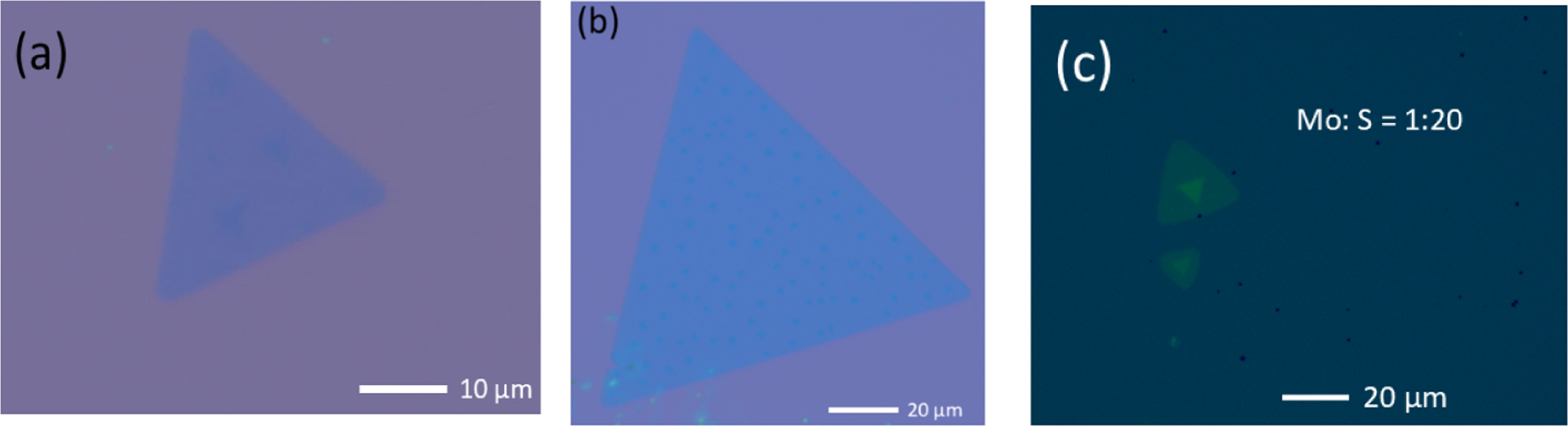 Role of precursor weight ratio on the growth and morphology of 2D MoS2 ...