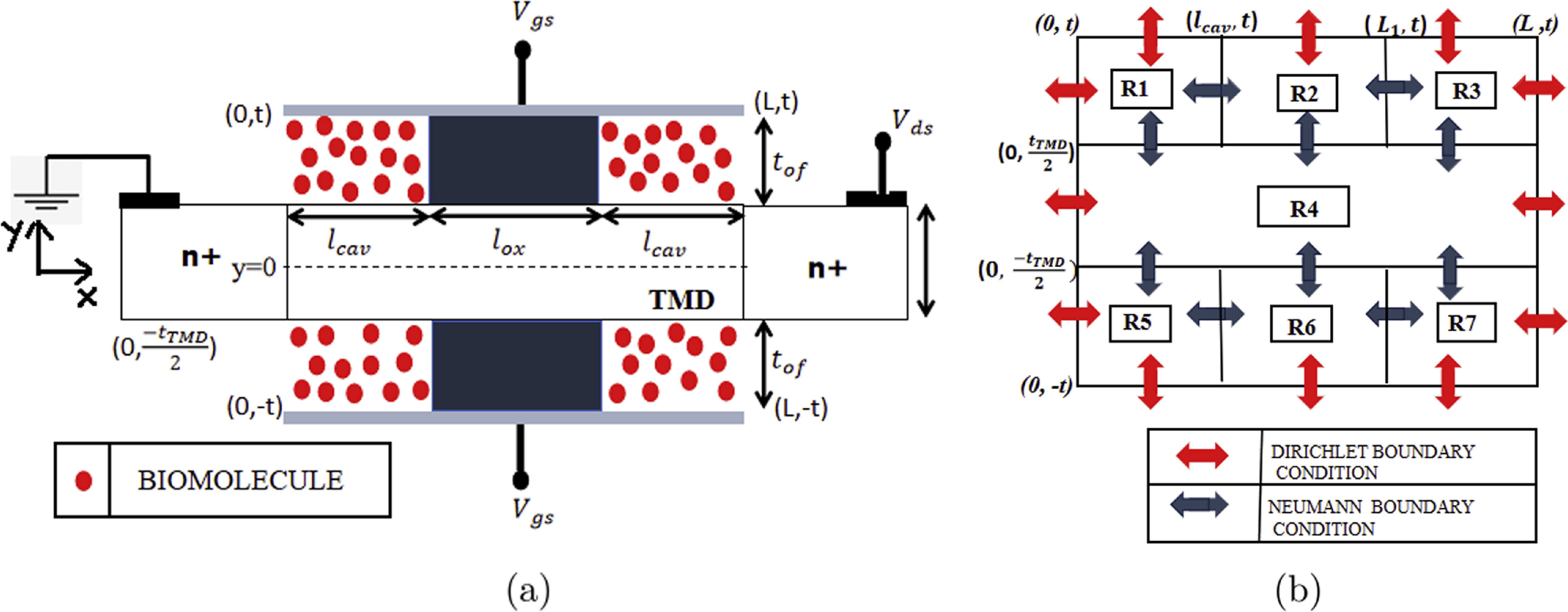 An accurate analytical modeling of dielectric modulated 2-D material ...