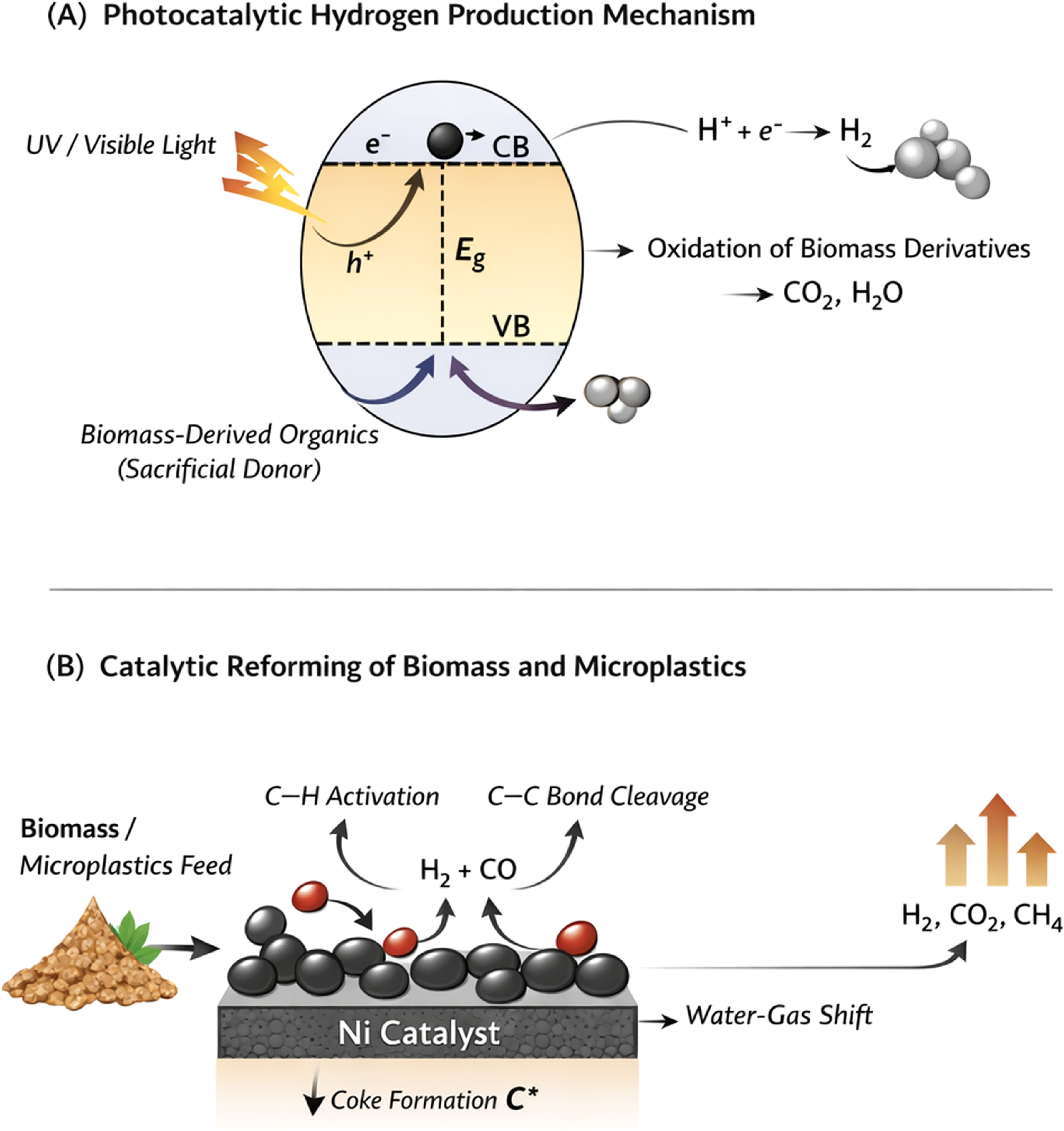 Production of hydrogen from biomass: a review - IOPscience