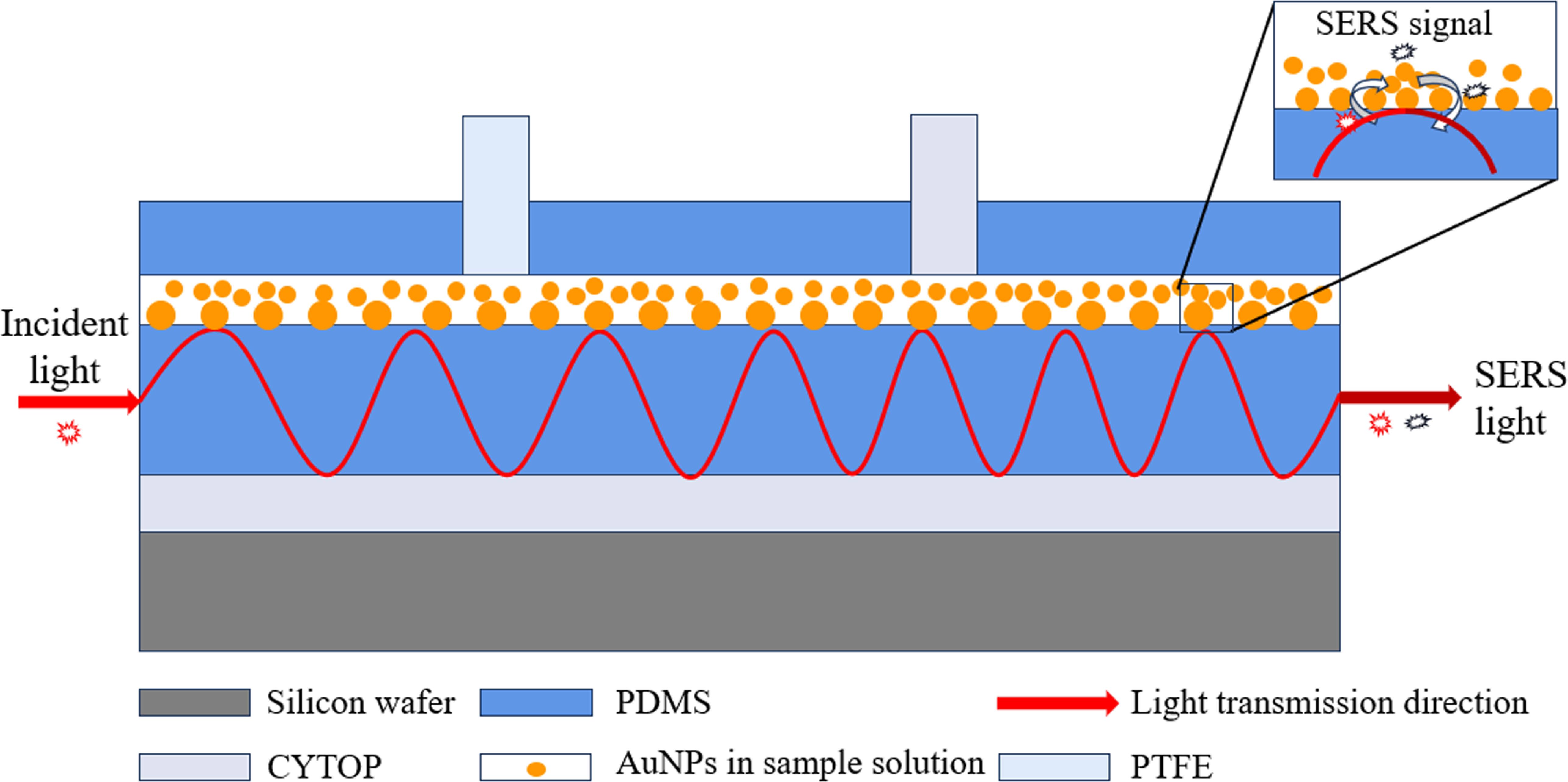 Keyney Raman Long-range surface-enhanced Raman scattering for detection of chronic ...