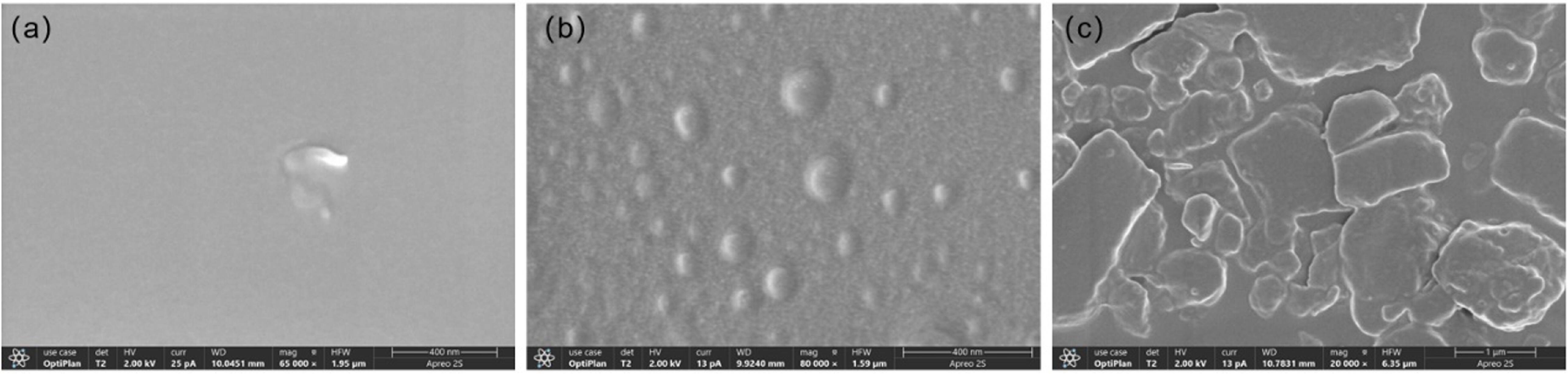 Keyney Raman Long-range surface-enhanced Raman scattering for detection of chronic ...