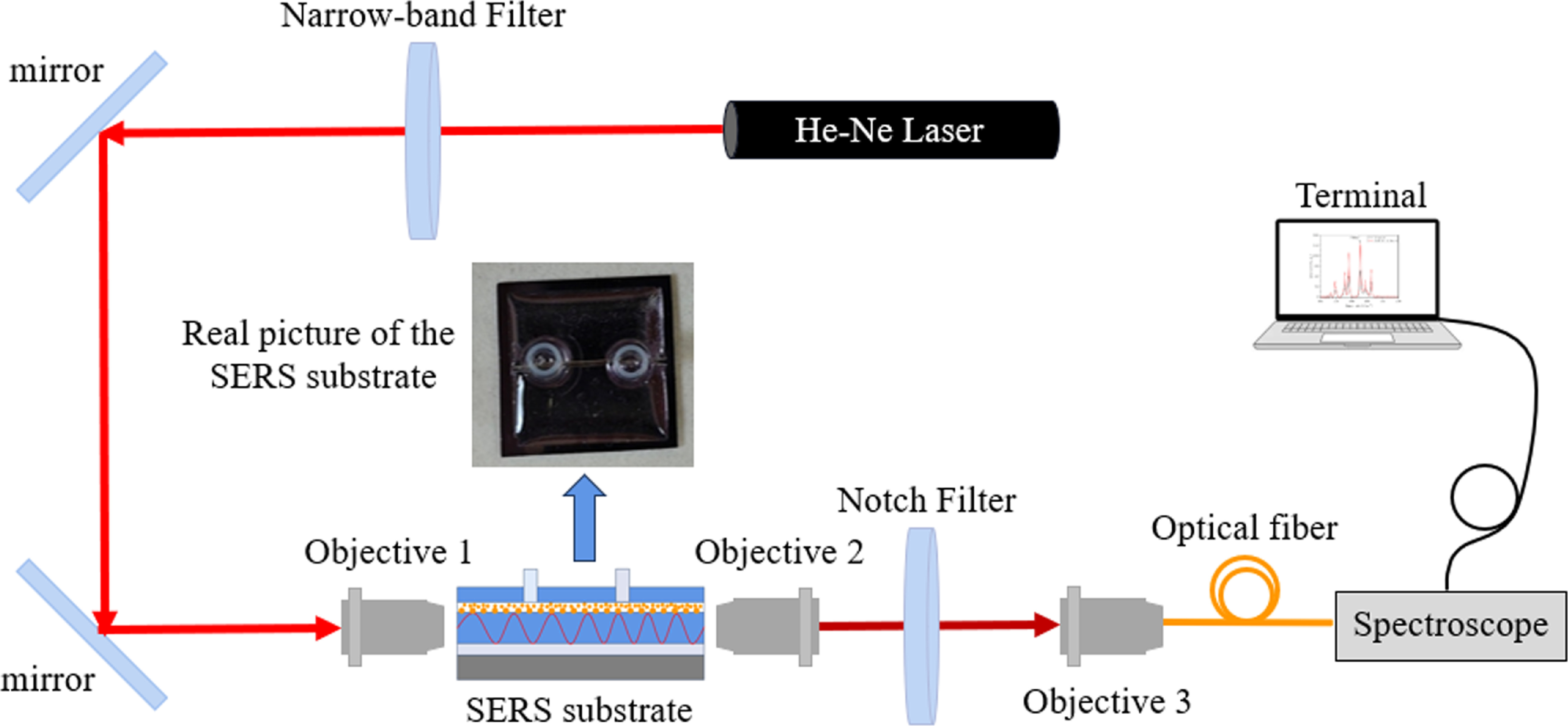 Keyney Raman Long-range surface-enhanced Raman scattering for detection of chronic ...