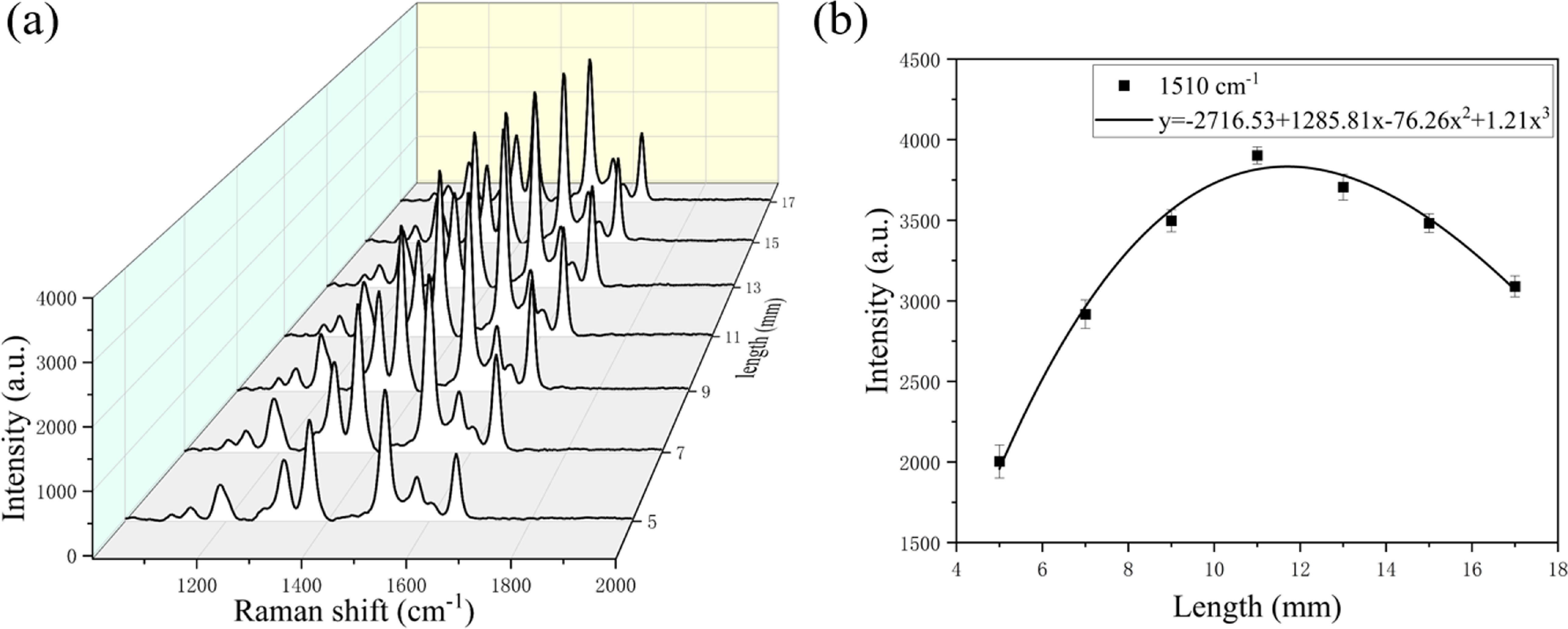 Keyney Raman Long-range surface-enhanced Raman scattering for detection of chronic ...