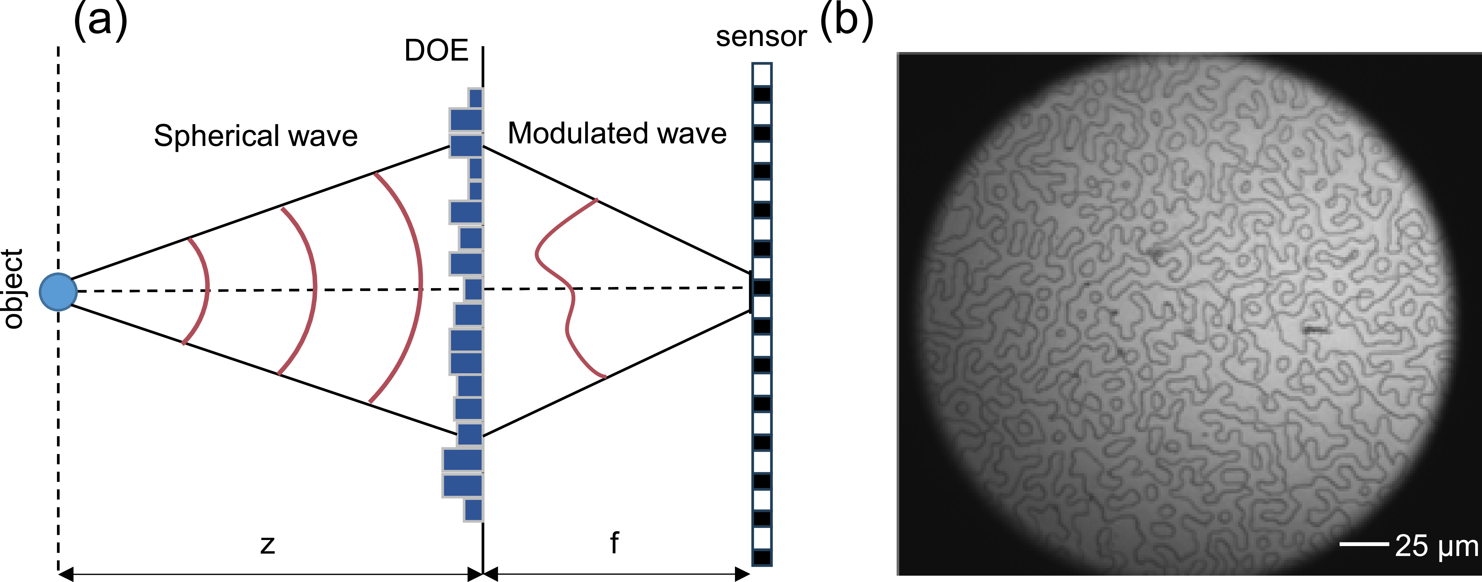 Spectroscopy Dispersion Data-driven computational spectroscopy sensing based on dispersion ...