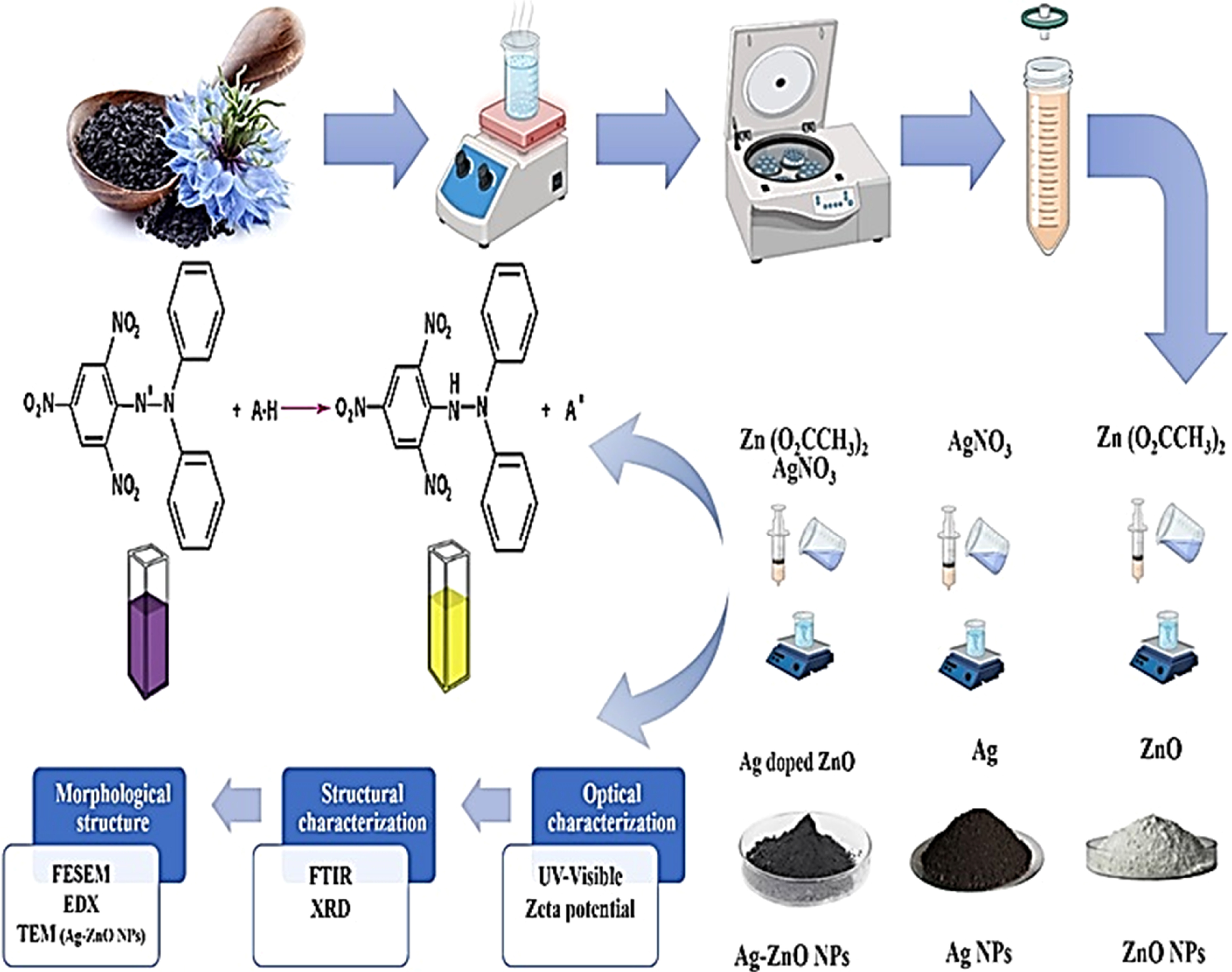 Green synthesis and enhanced antioxidant activity of ZnO nanoparticles ...