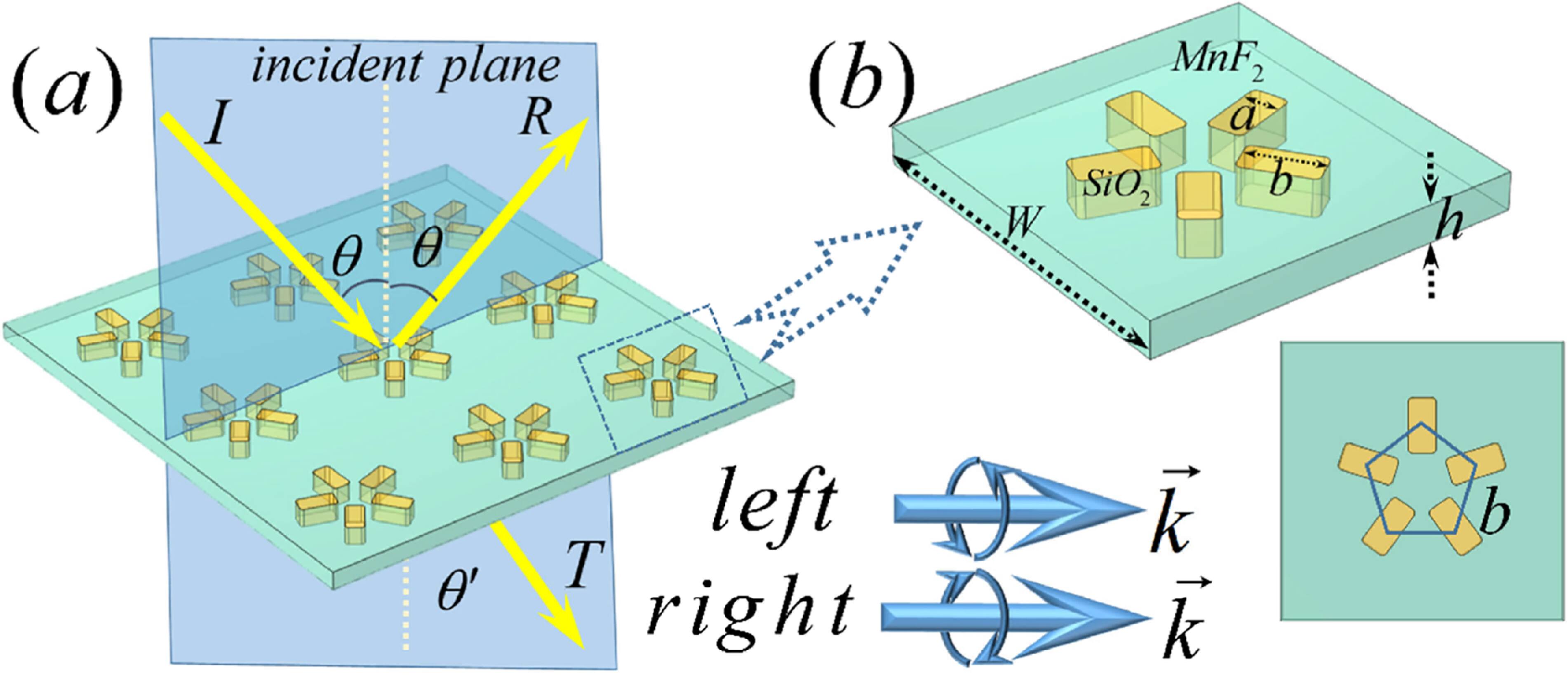 Magnetic field tunable circular dichroism based on MnF2 chiral ...
