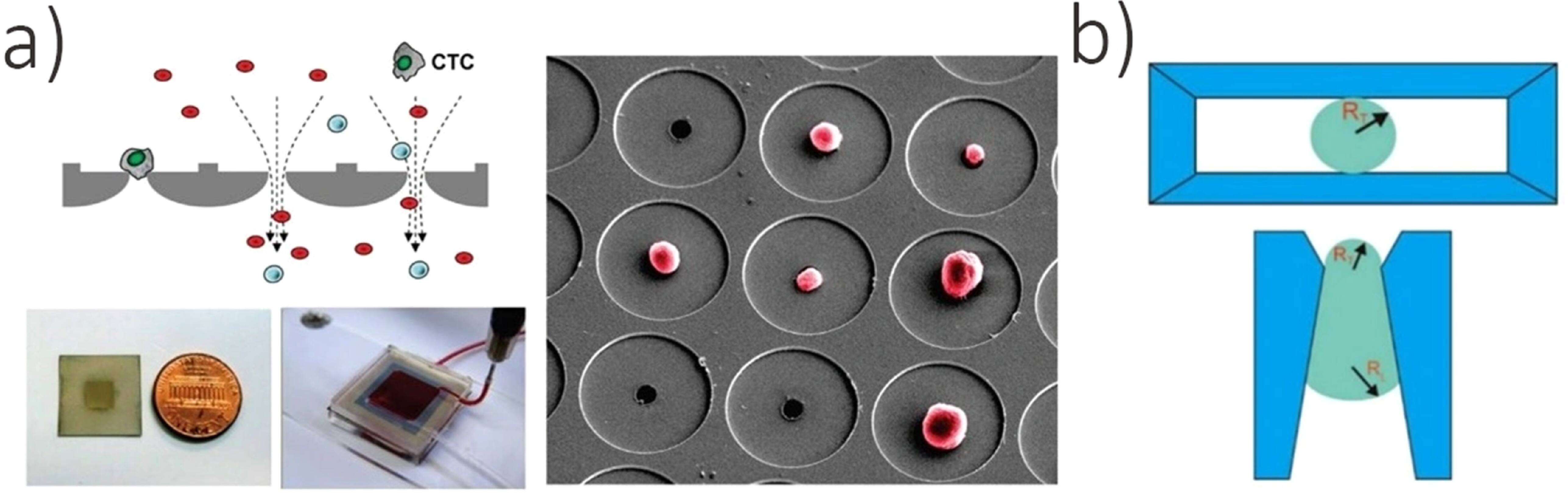 Development of microfluidic technology for sorting circulating tumor ...