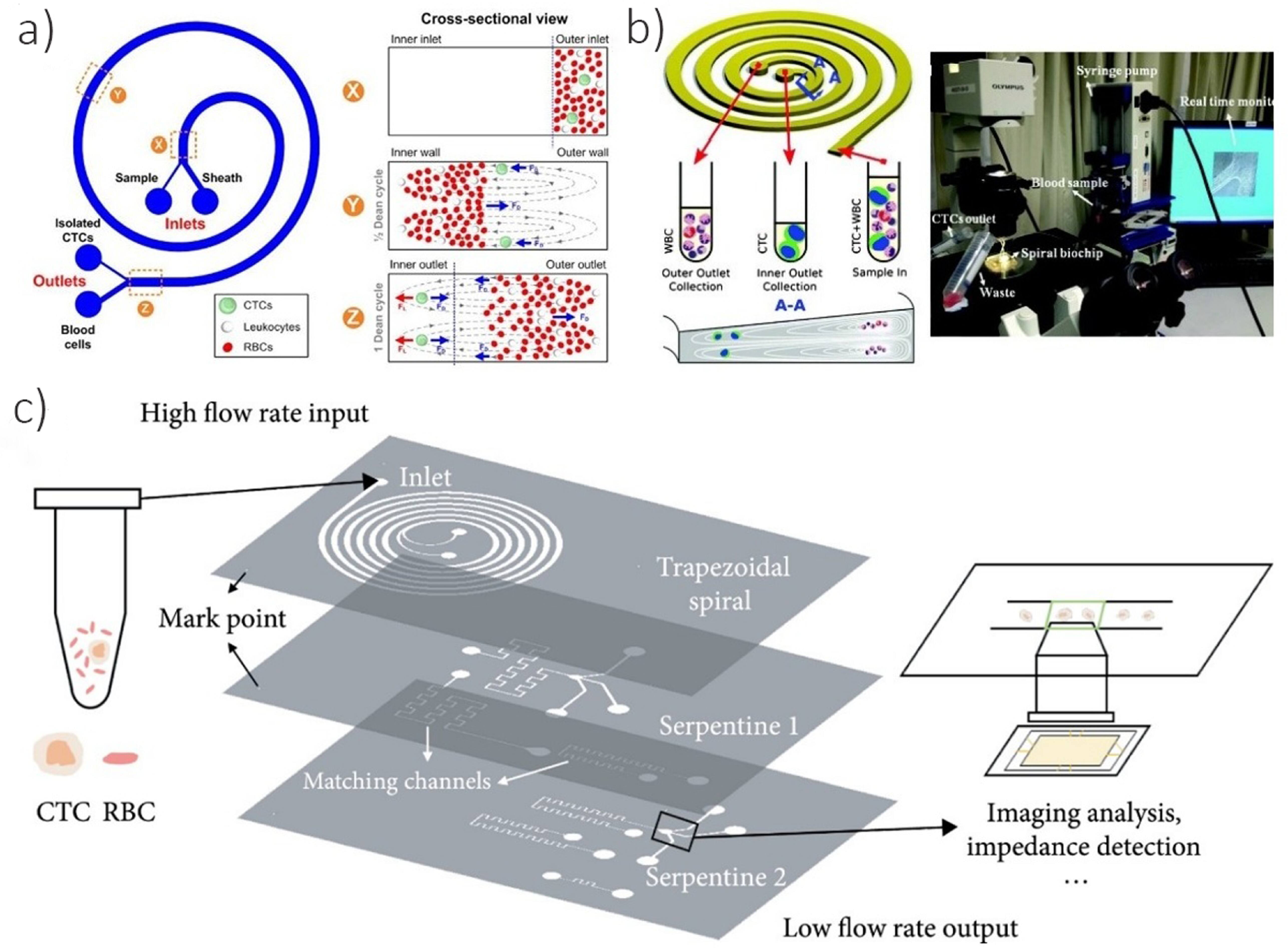 Development of microfluidic technology for sorting circulating tumor ...