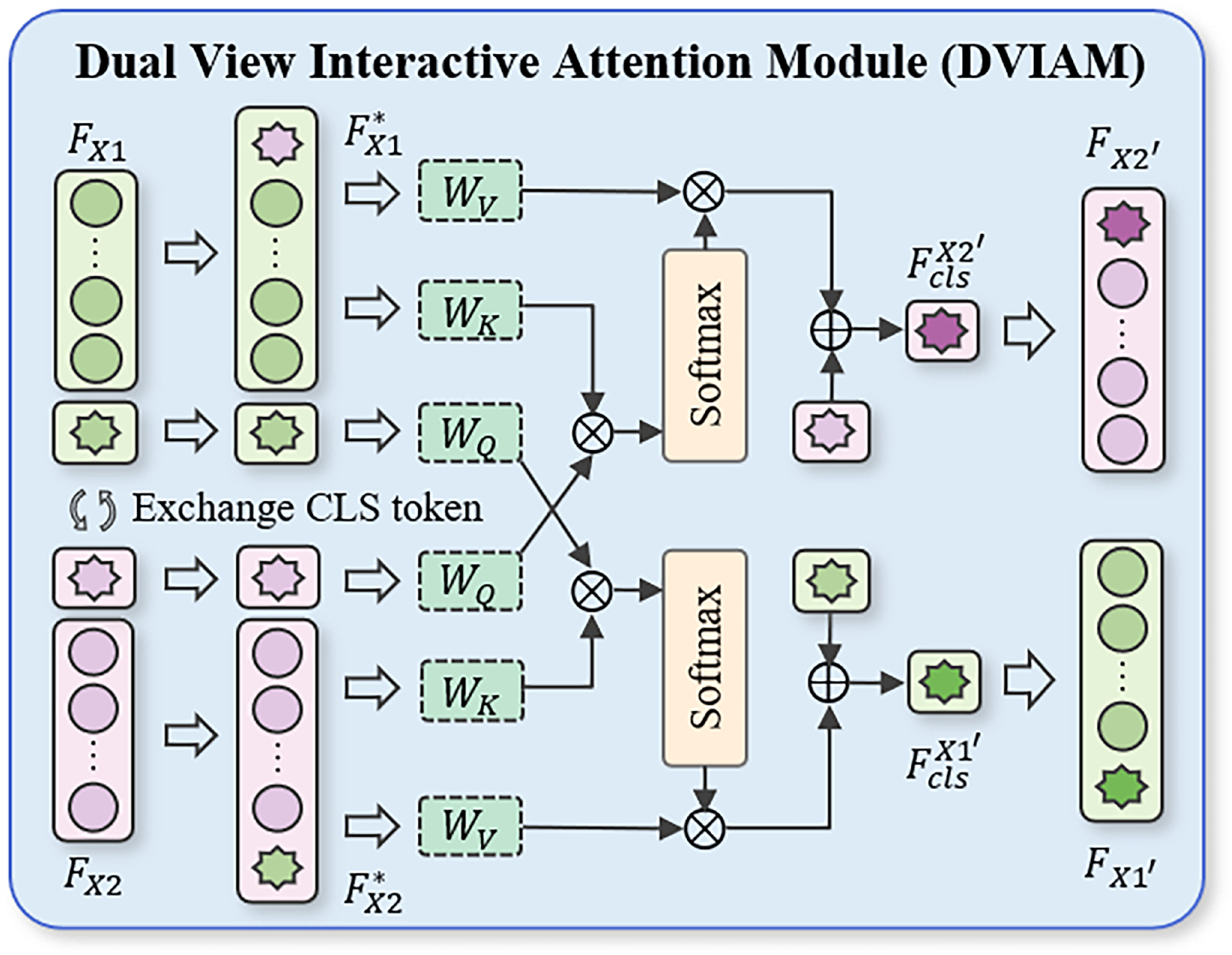 DVDRViT: dual-view diabetic retinopathy grading based on ViT ...