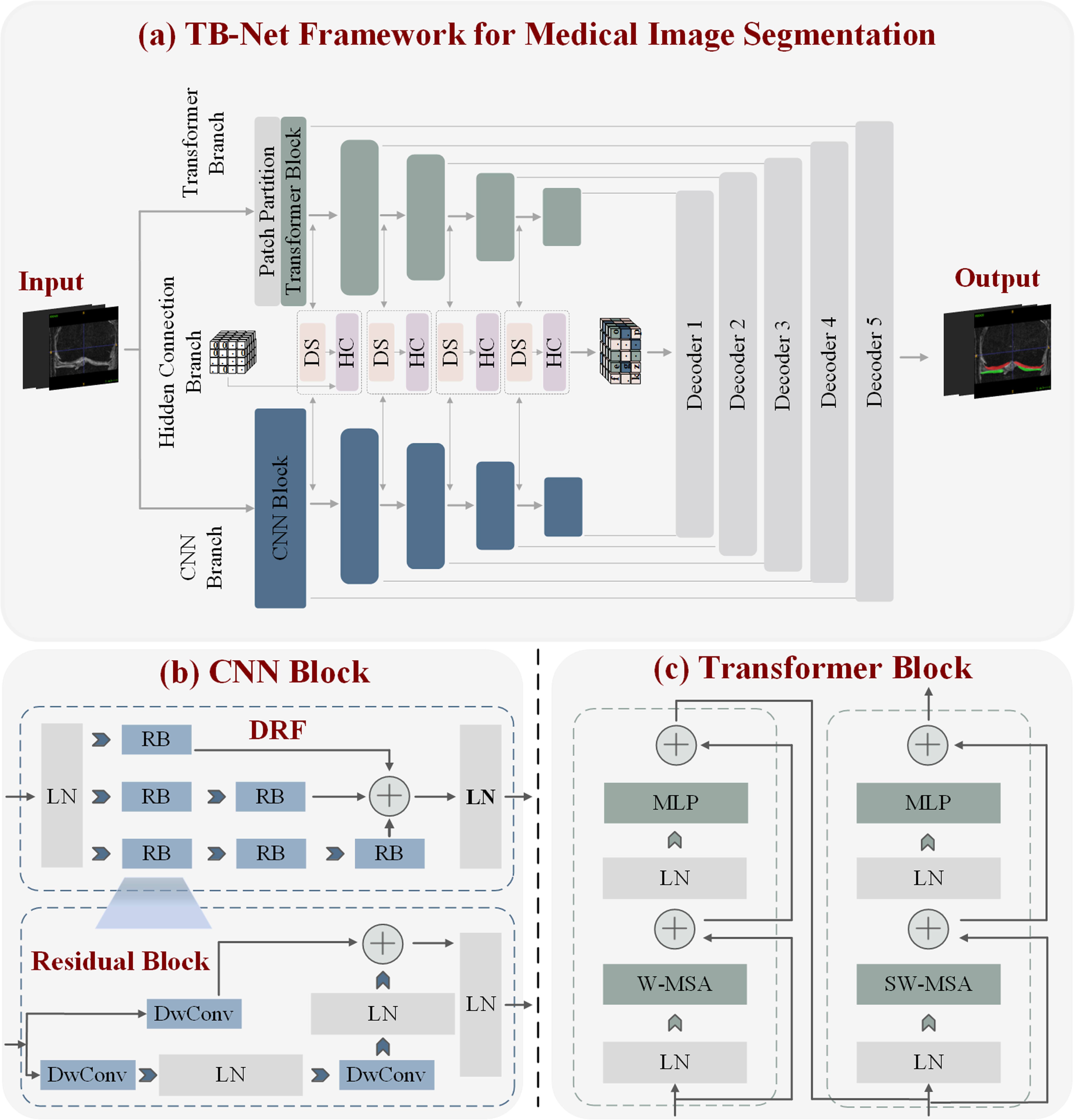 Three-branch dynamic selection network for 3d medical image ...