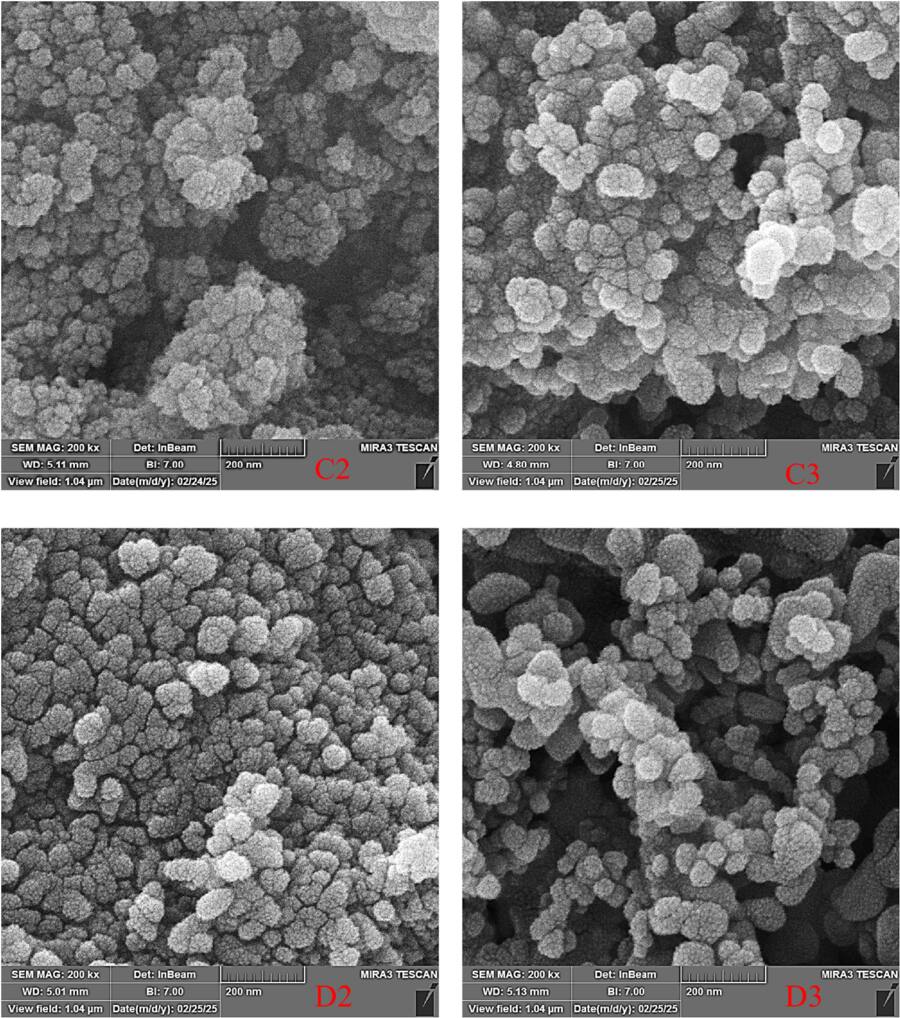 Synthesis of Fe2O3 nanostructure and evaluation of its effectiveness as ...