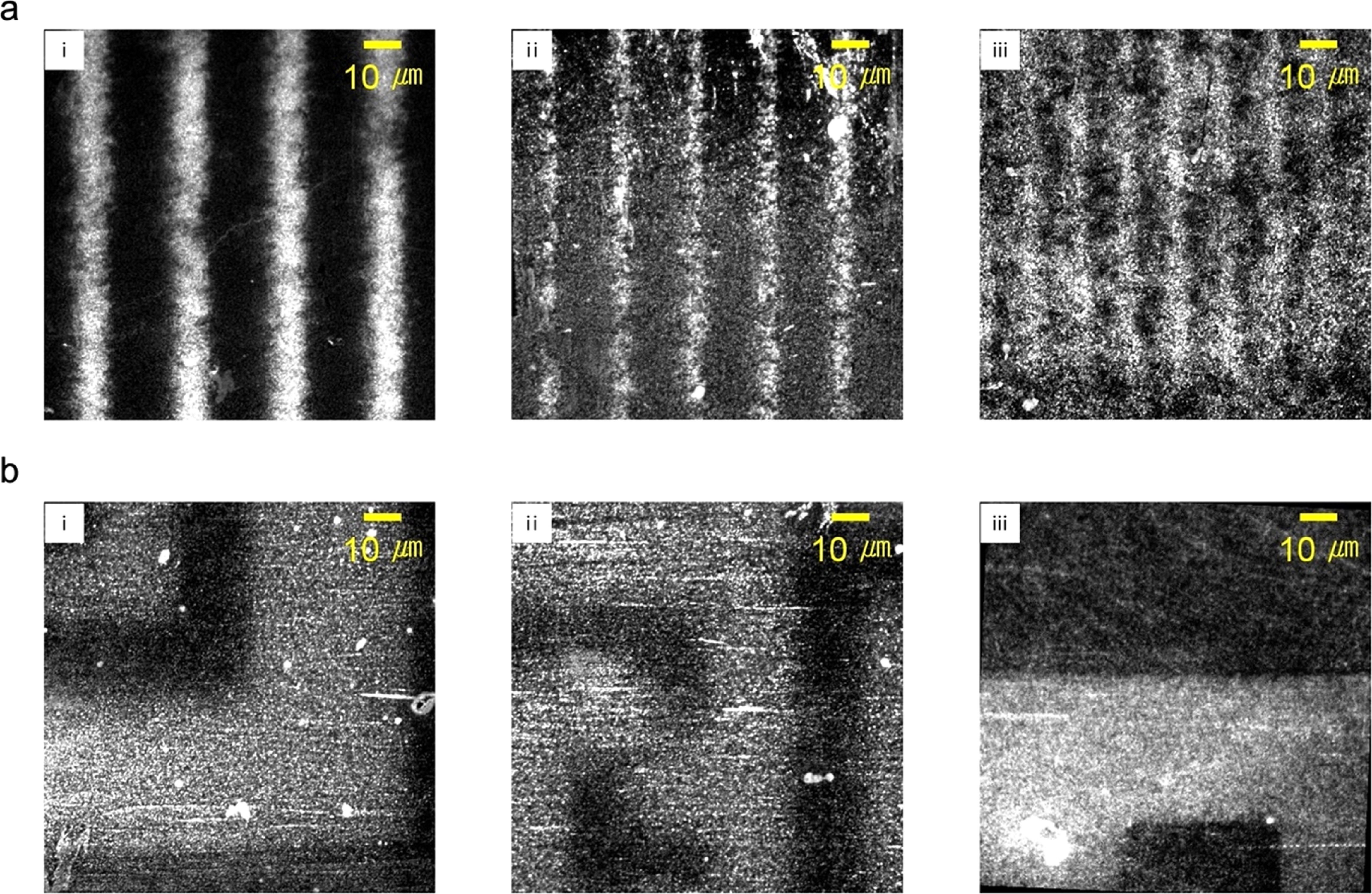 Machine-readable nucleic acid arrays through electrostatic surface ...