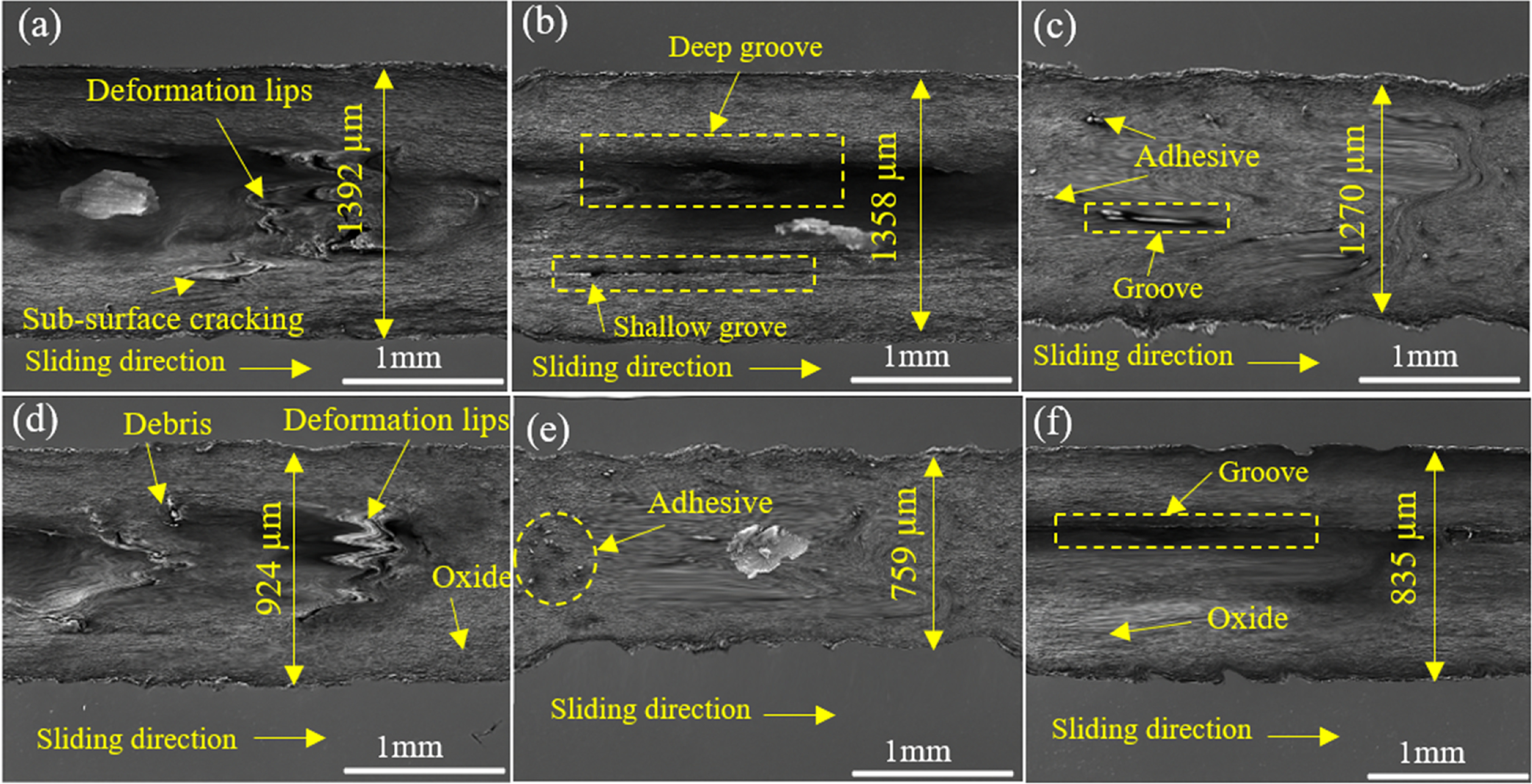 Investigation of the microstructure, tribological behavior and