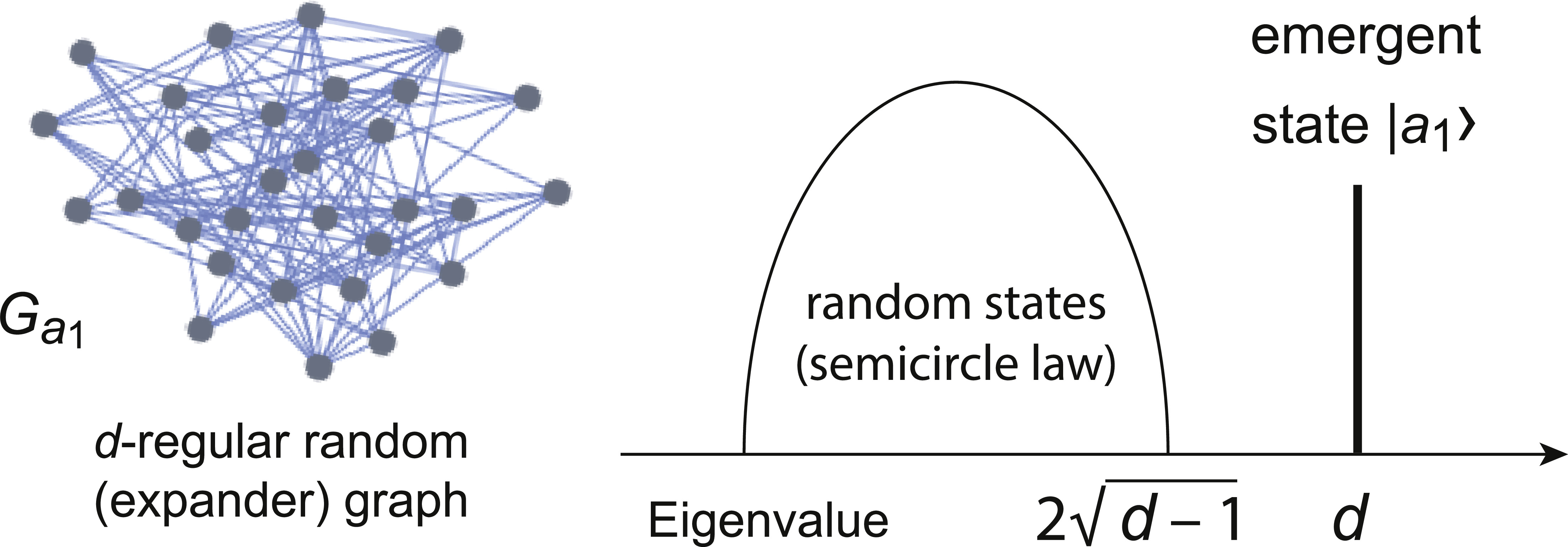 Dynamics in an emergent quantum-like state space generated by a ...