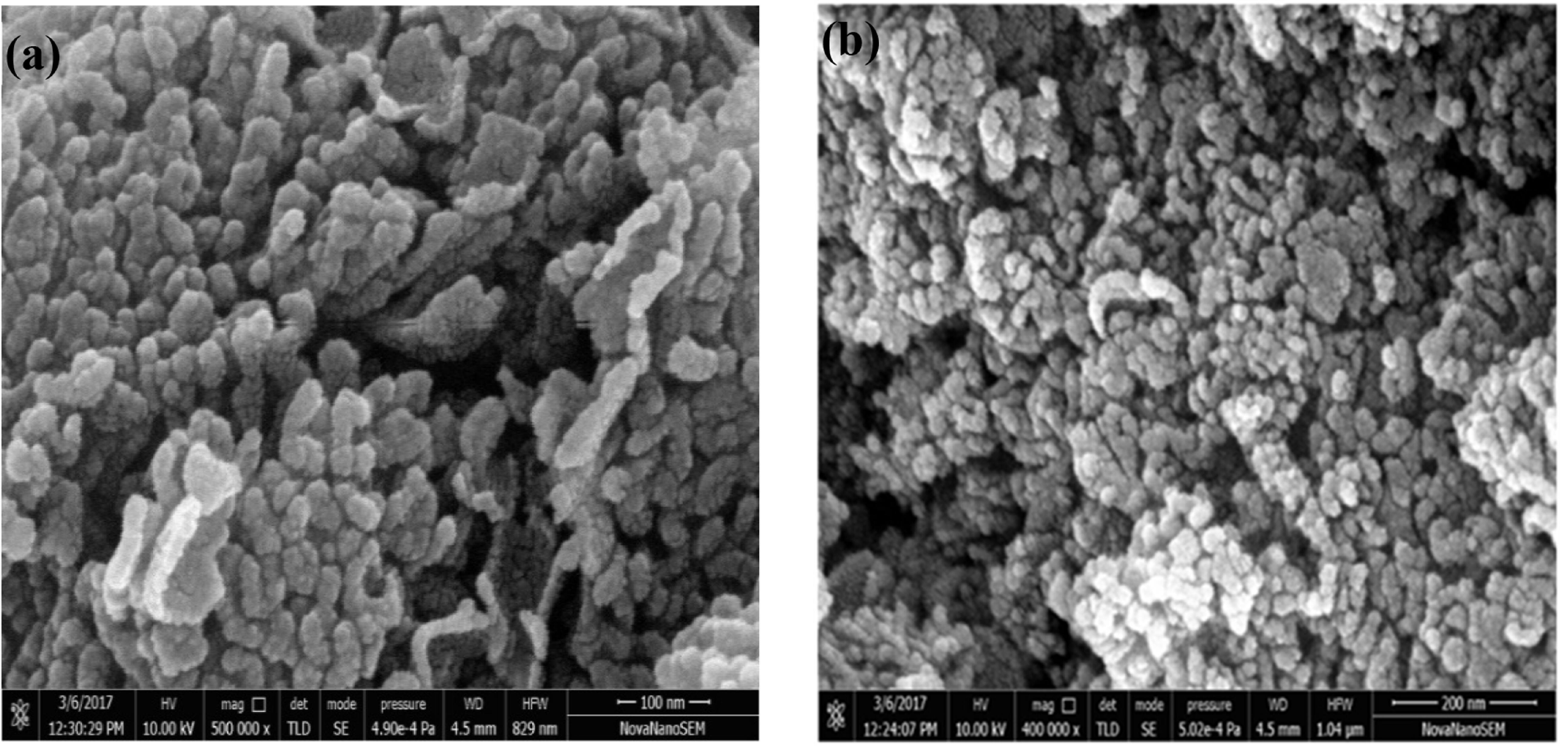 Cu and I co-doped TiO2 nanoparticles: synthesis, characterization, and ...
