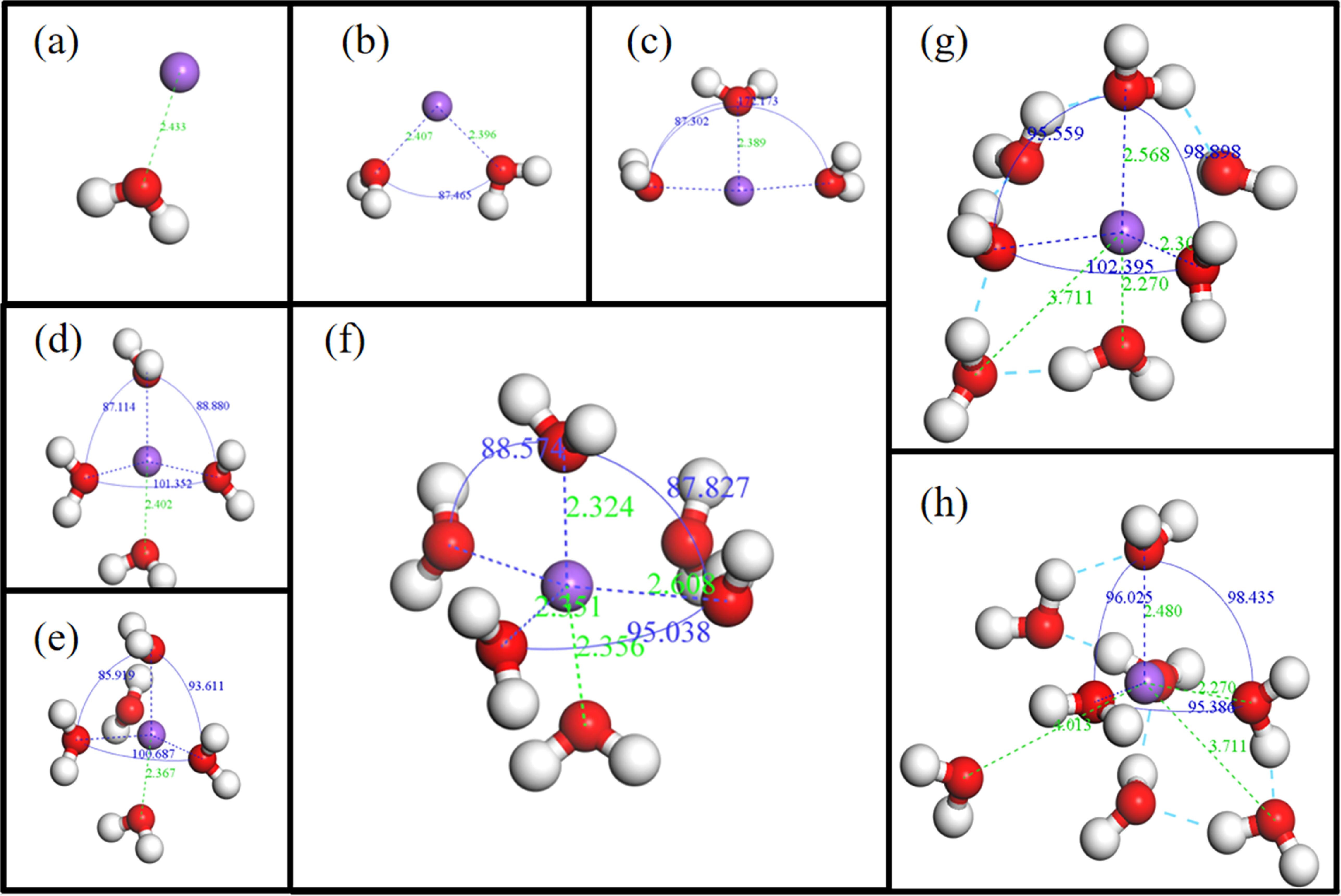 Theoretical and experimental research on the solvation shell ...
