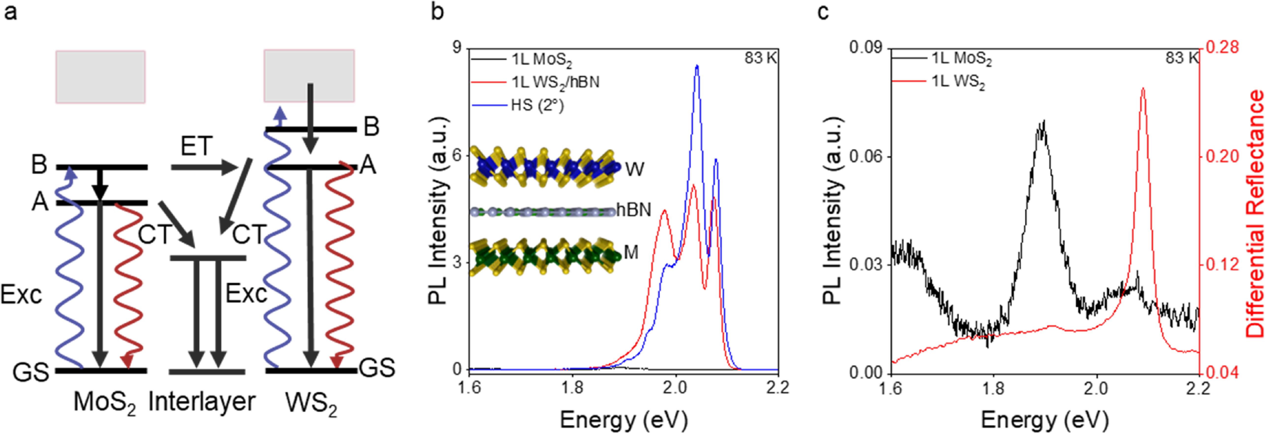 Temperature and electrical control of energy transfer in WS2/hBN/MoS2 ...