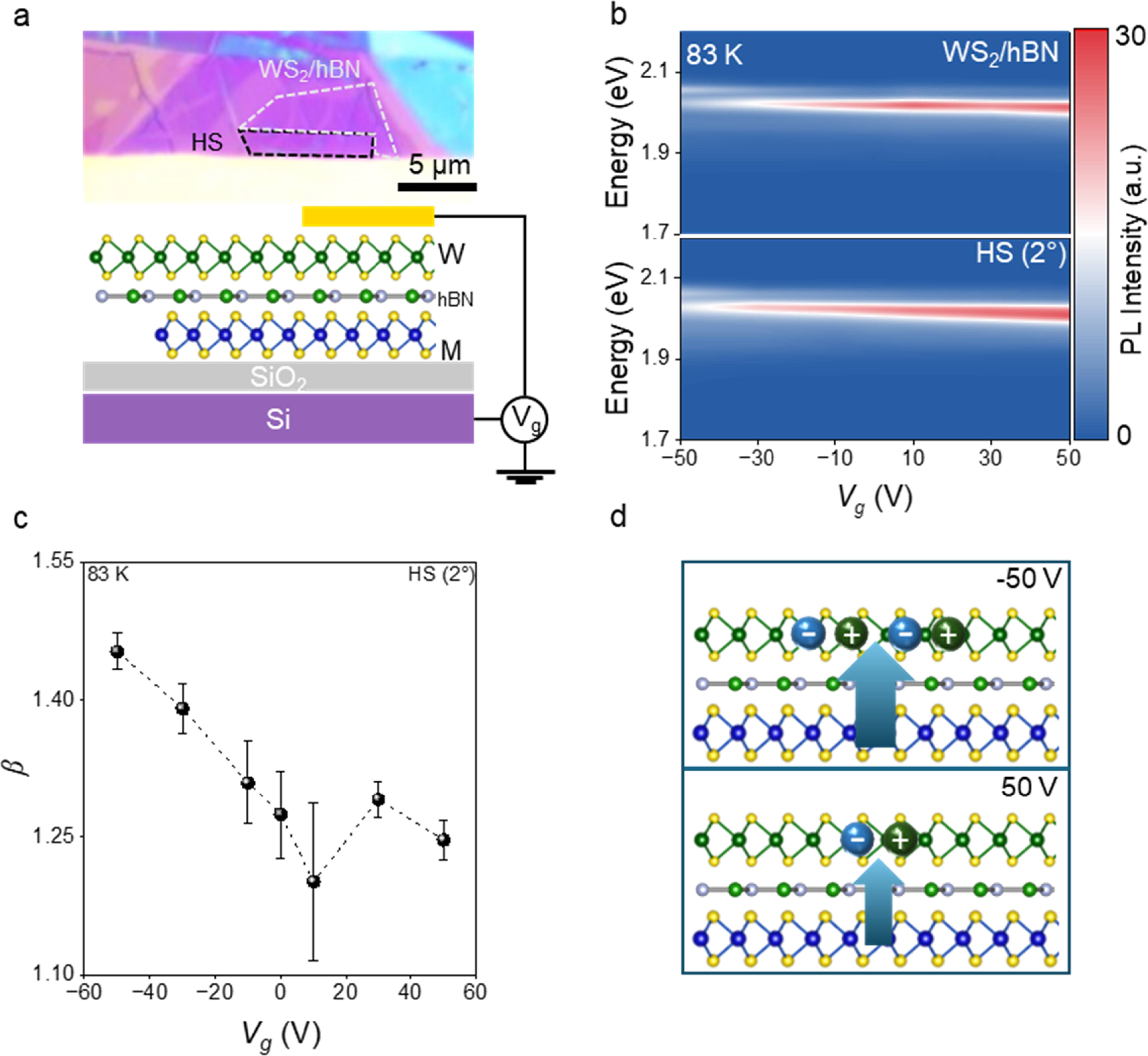Temperature and electrical control of energy transfer in WS2/hBN/MoS2 ...