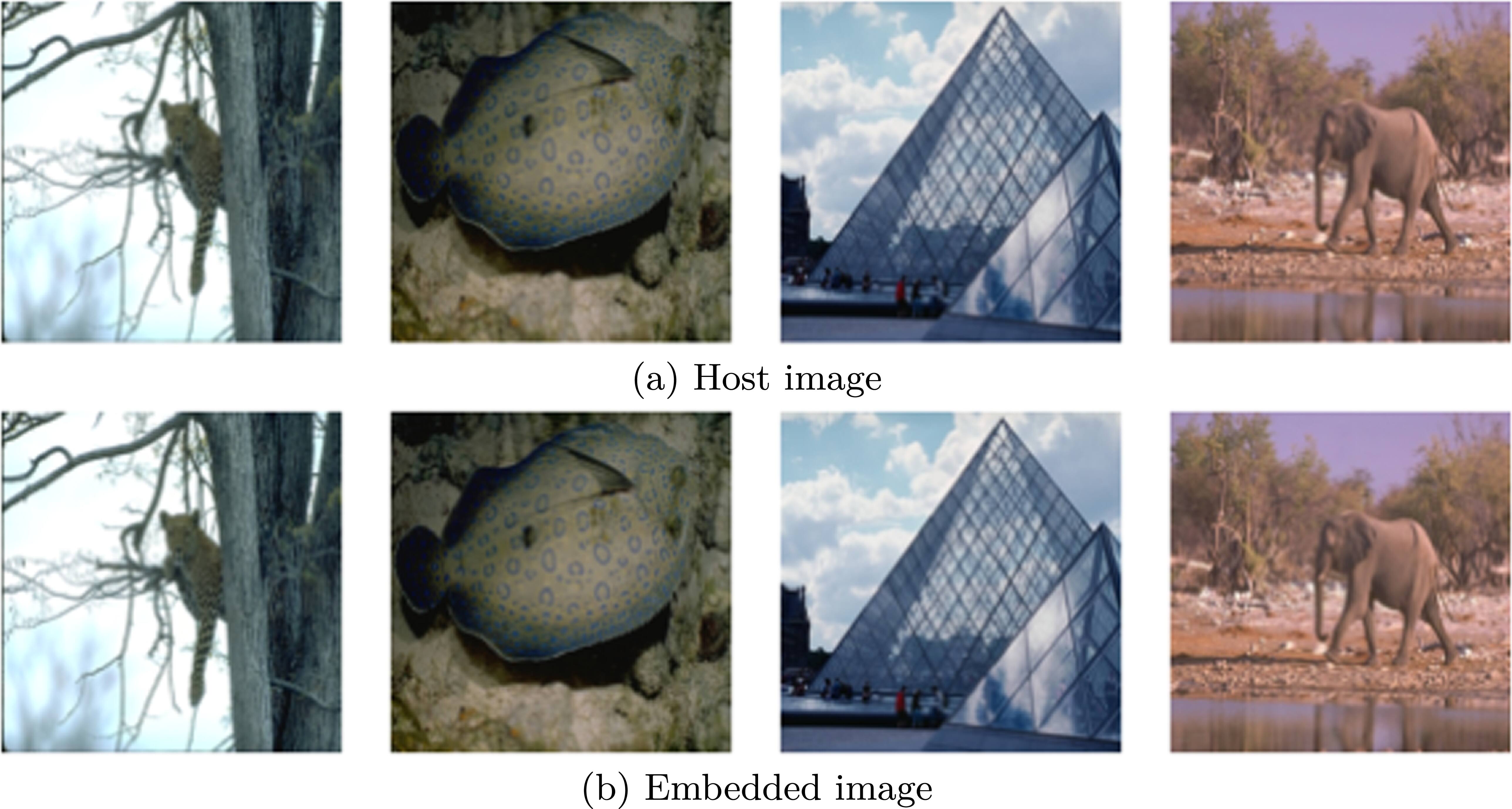 Dual-path watermark embedding model based on generative adversarial ...