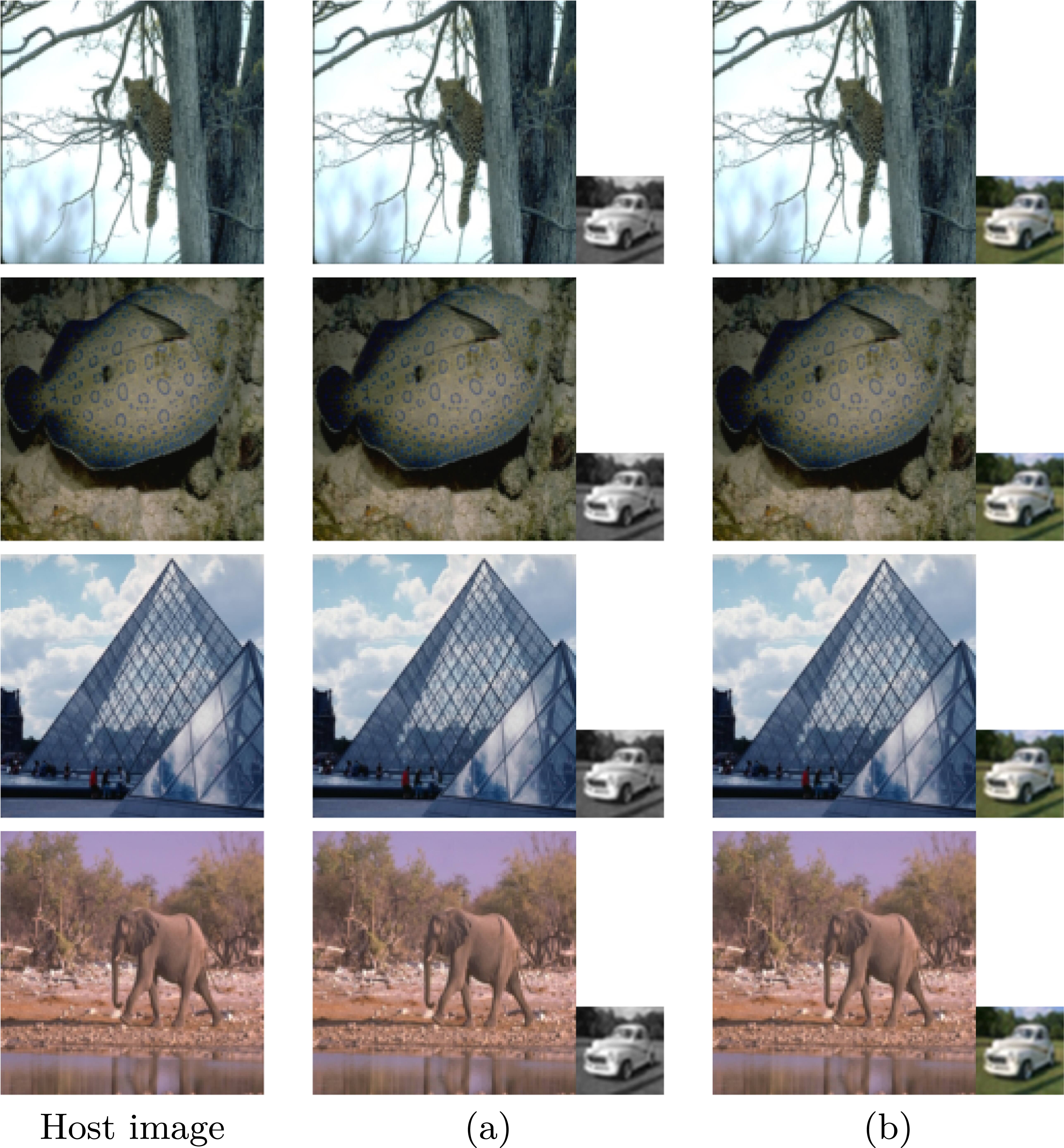 Dual-path watermark embedding model based on generative adversarial ...