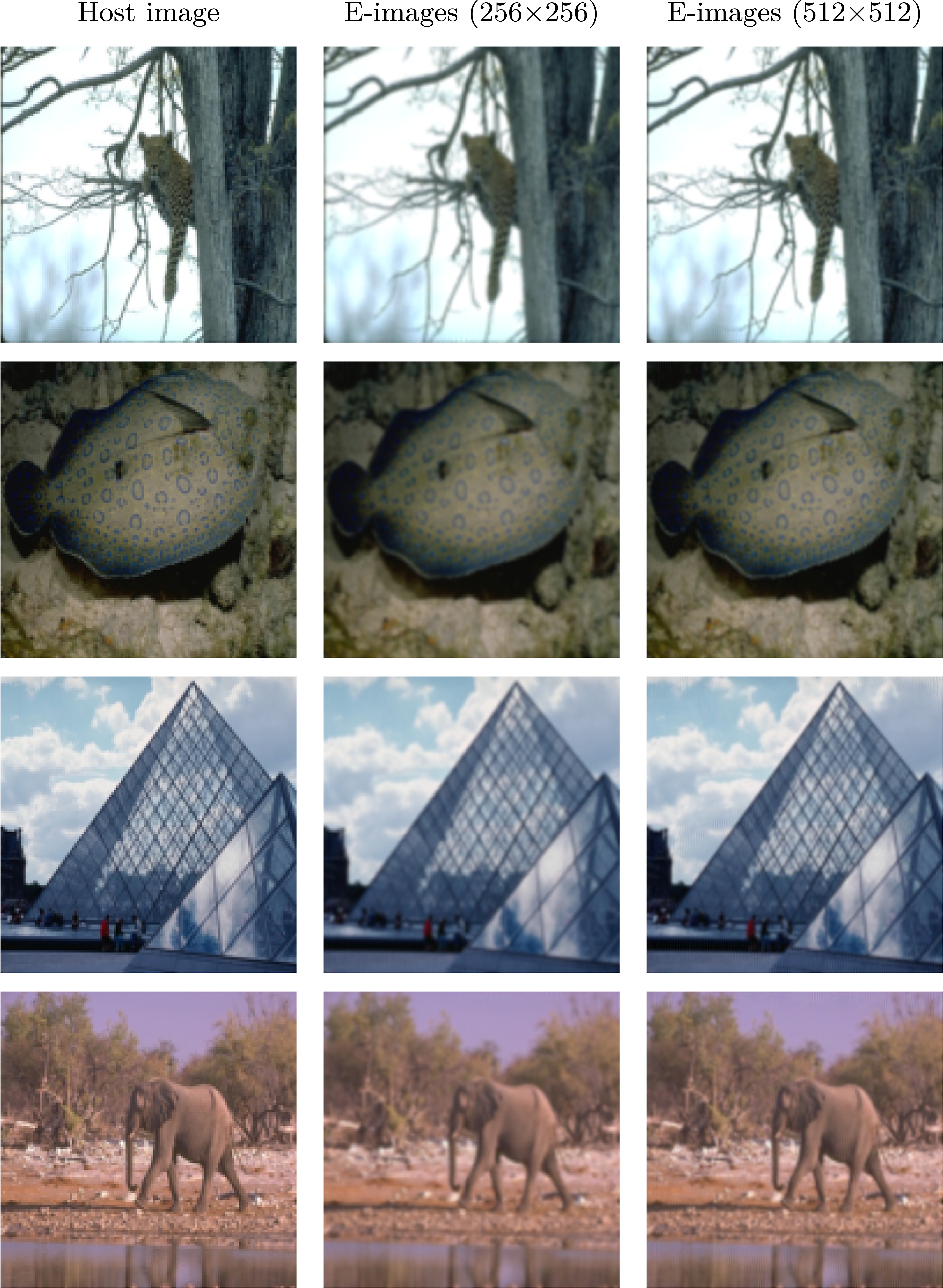 Dual-path watermark embedding model based on generative adversarial ...