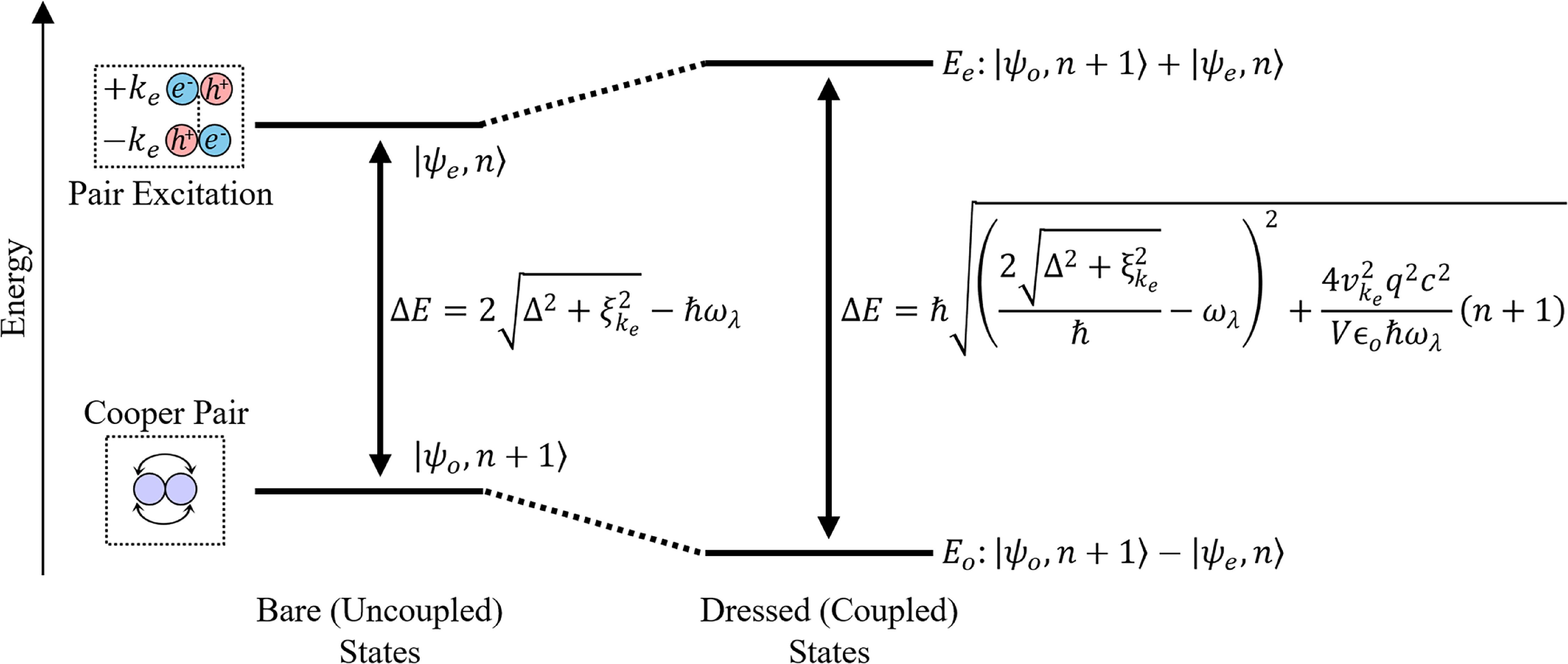Microwave dressed states and vacuum fluctuations in a superconducting ...