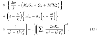 Equation (13)