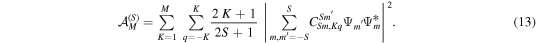 Equation (13)