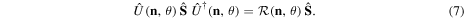 Equation (7)